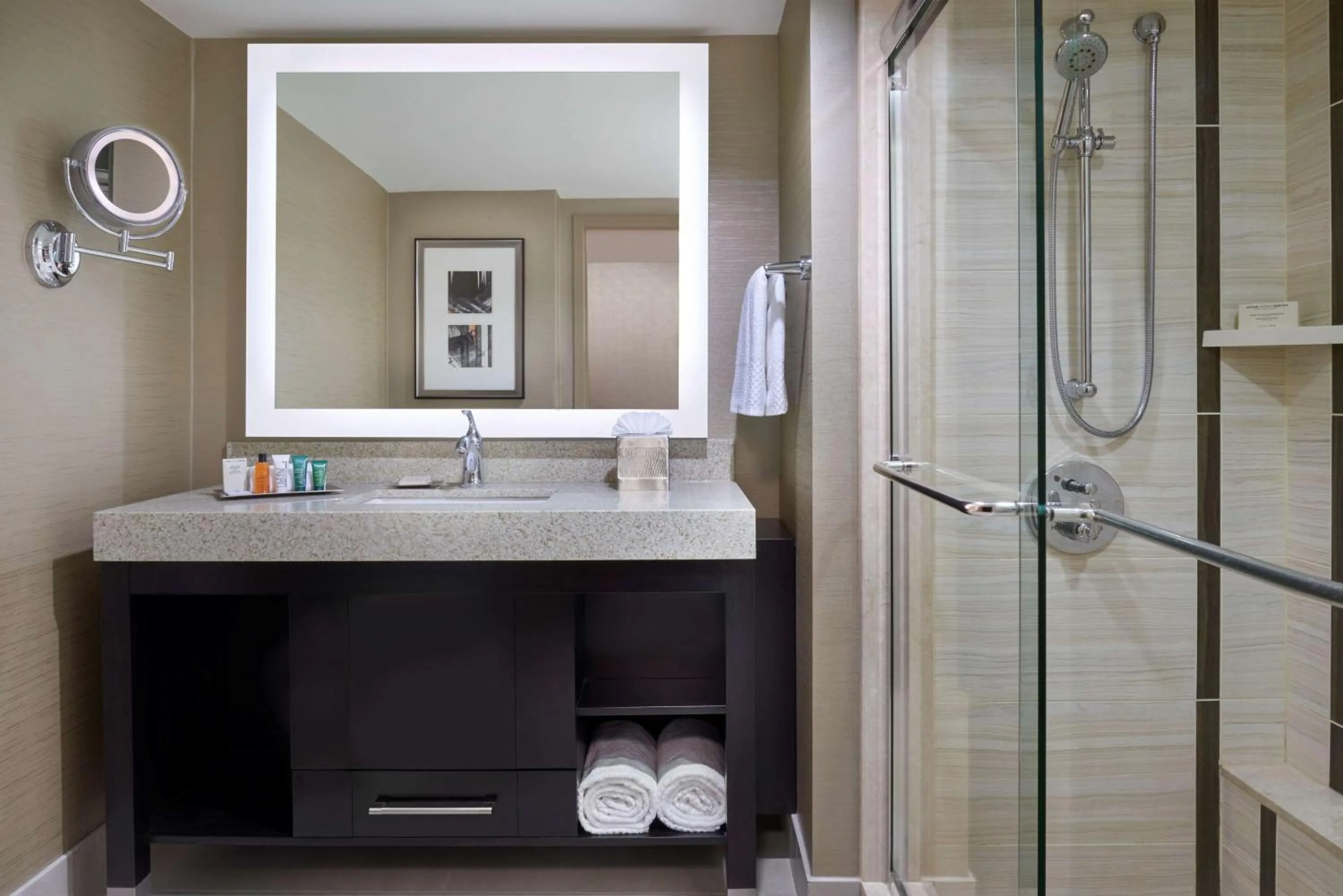 Shower in Hilton Toronto