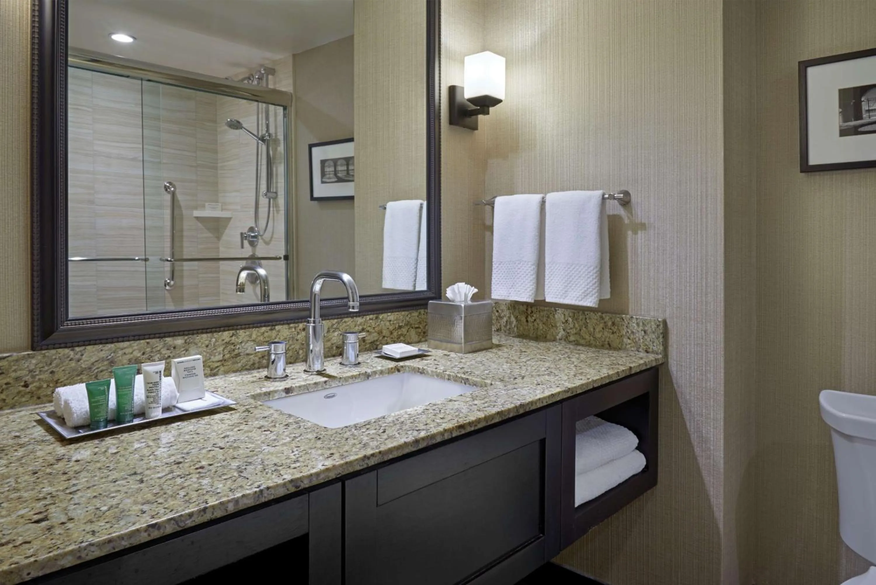 Bathroom in Hilton Toronto