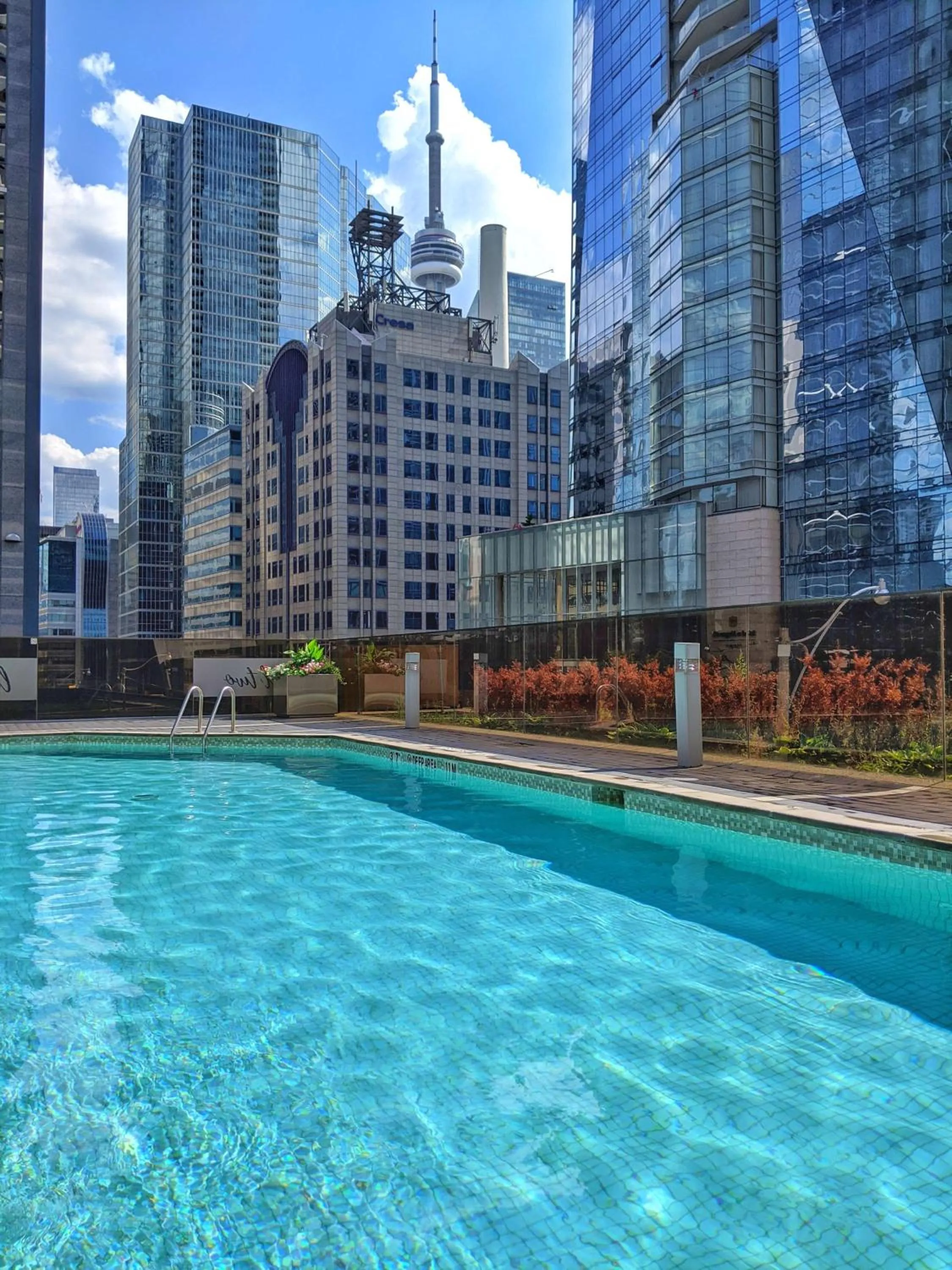 Pool view in Hilton Toronto