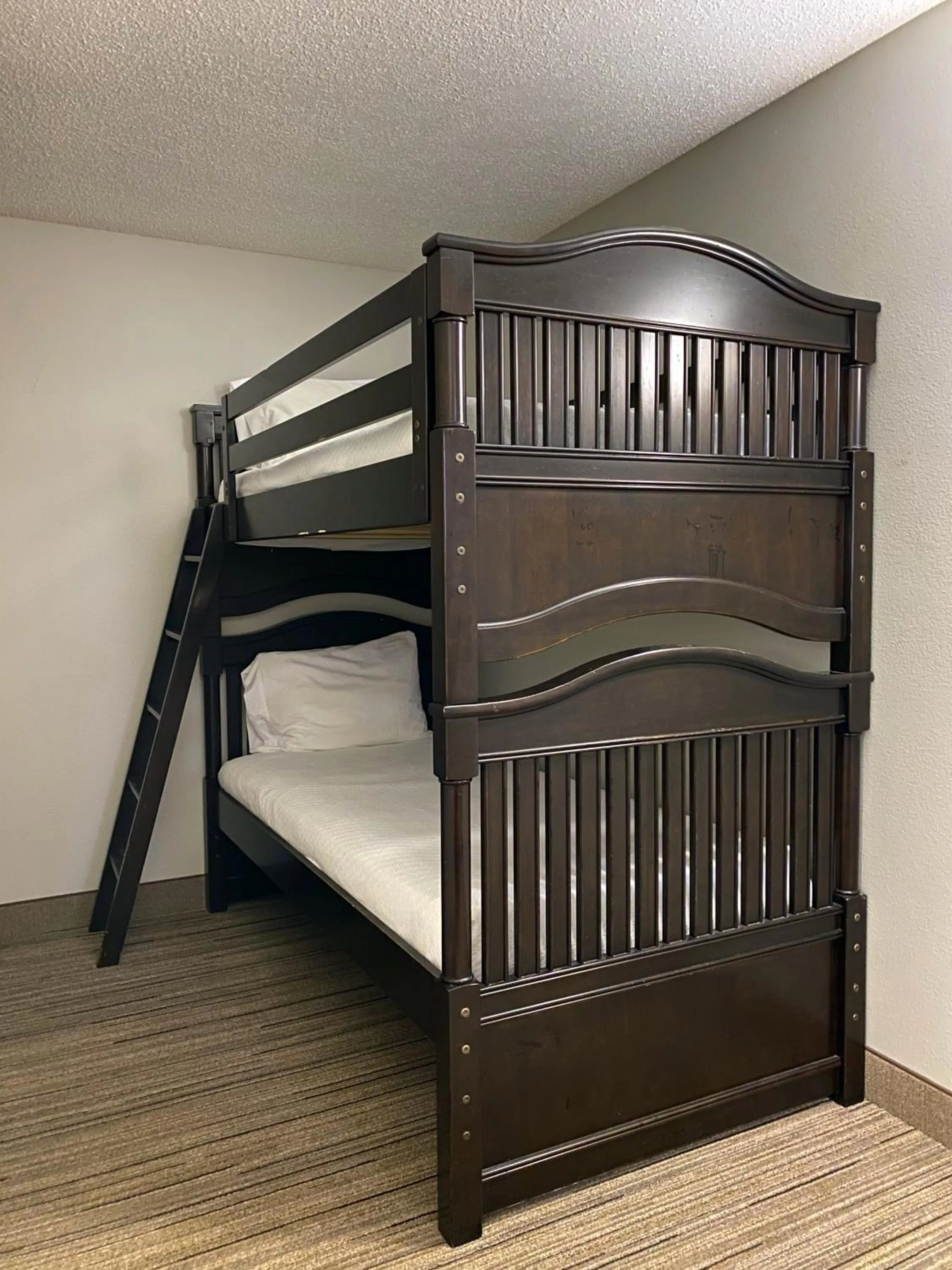 bunk bed, Bed in Holiday Inn Express Hotel & Suites Somerset Central by IHG