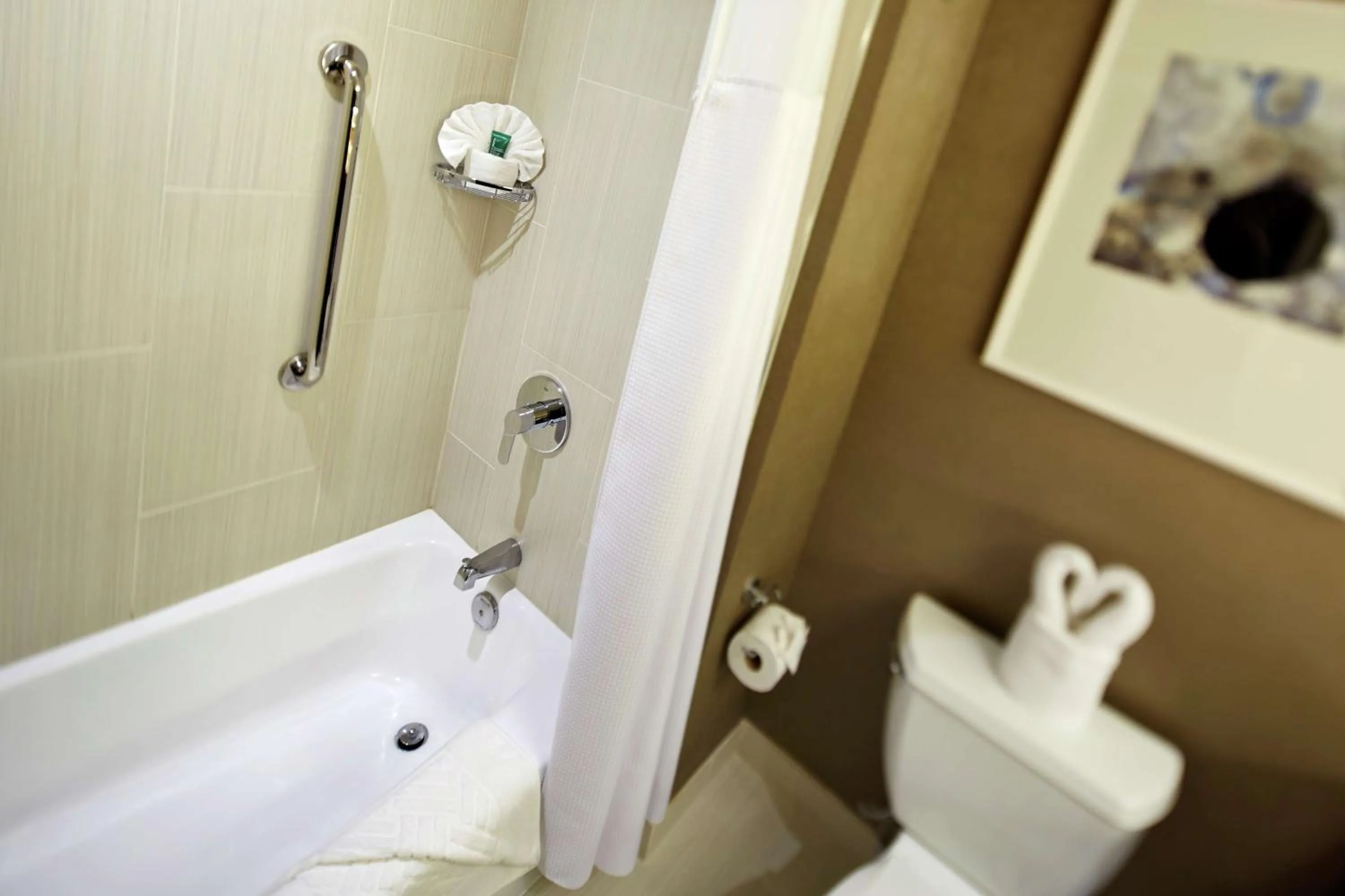 Bathroom in Hilton San Diego Mission Valley