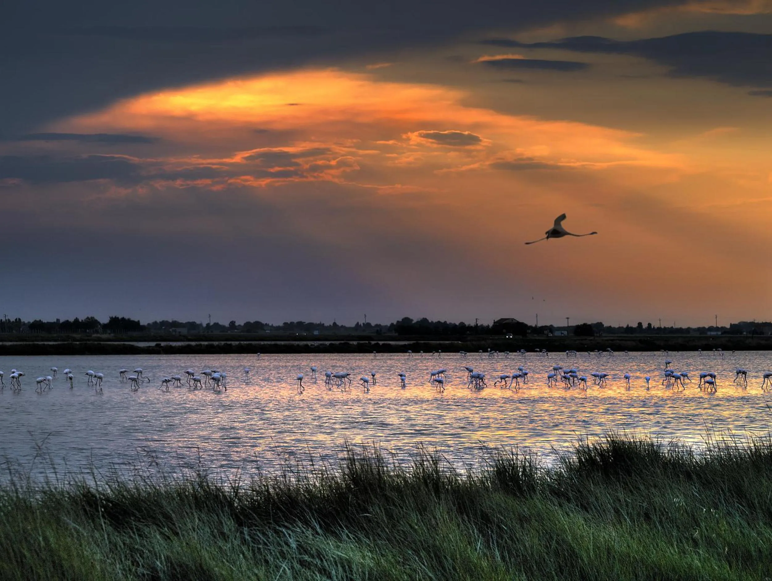 Spring in Hotel Excelsior