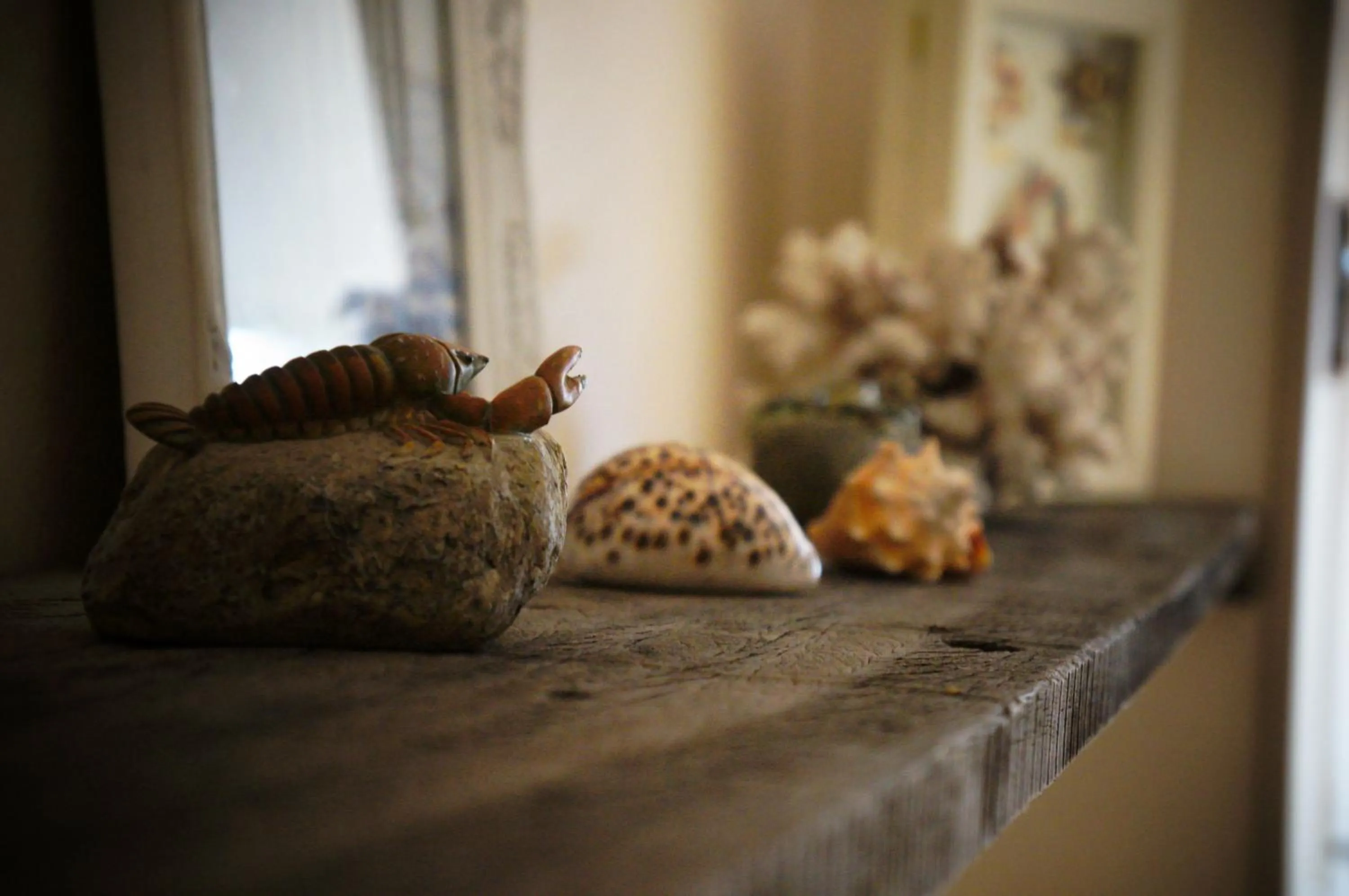 Other in B&B Oesterhoeve