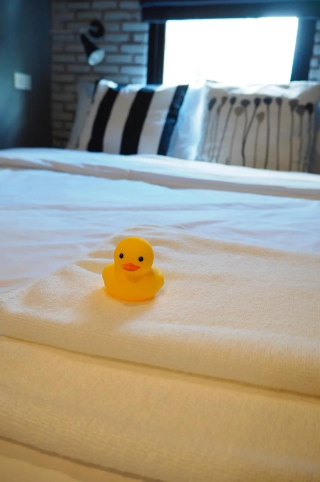 Bed in La Malila Hostel