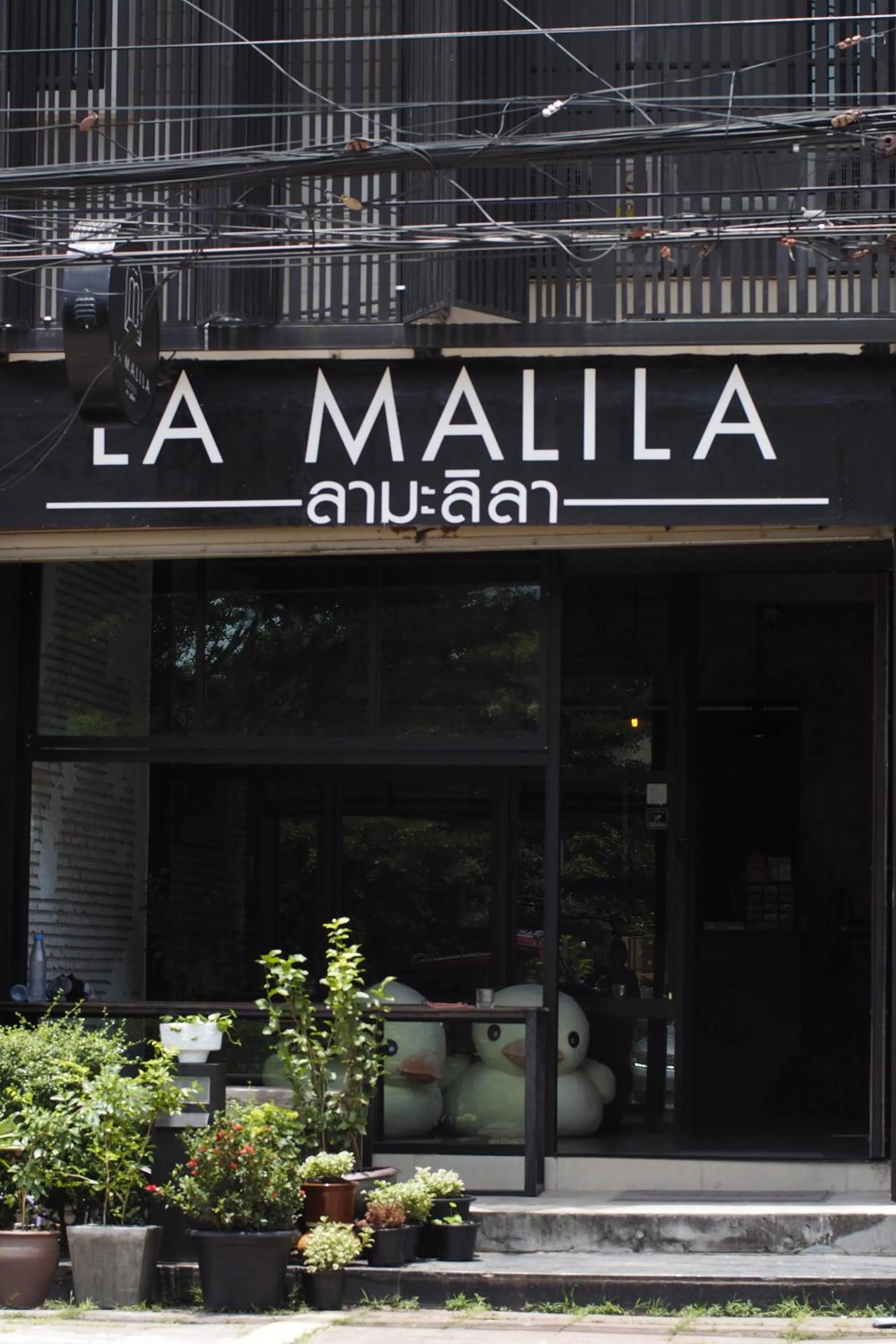 La Malila Hostel