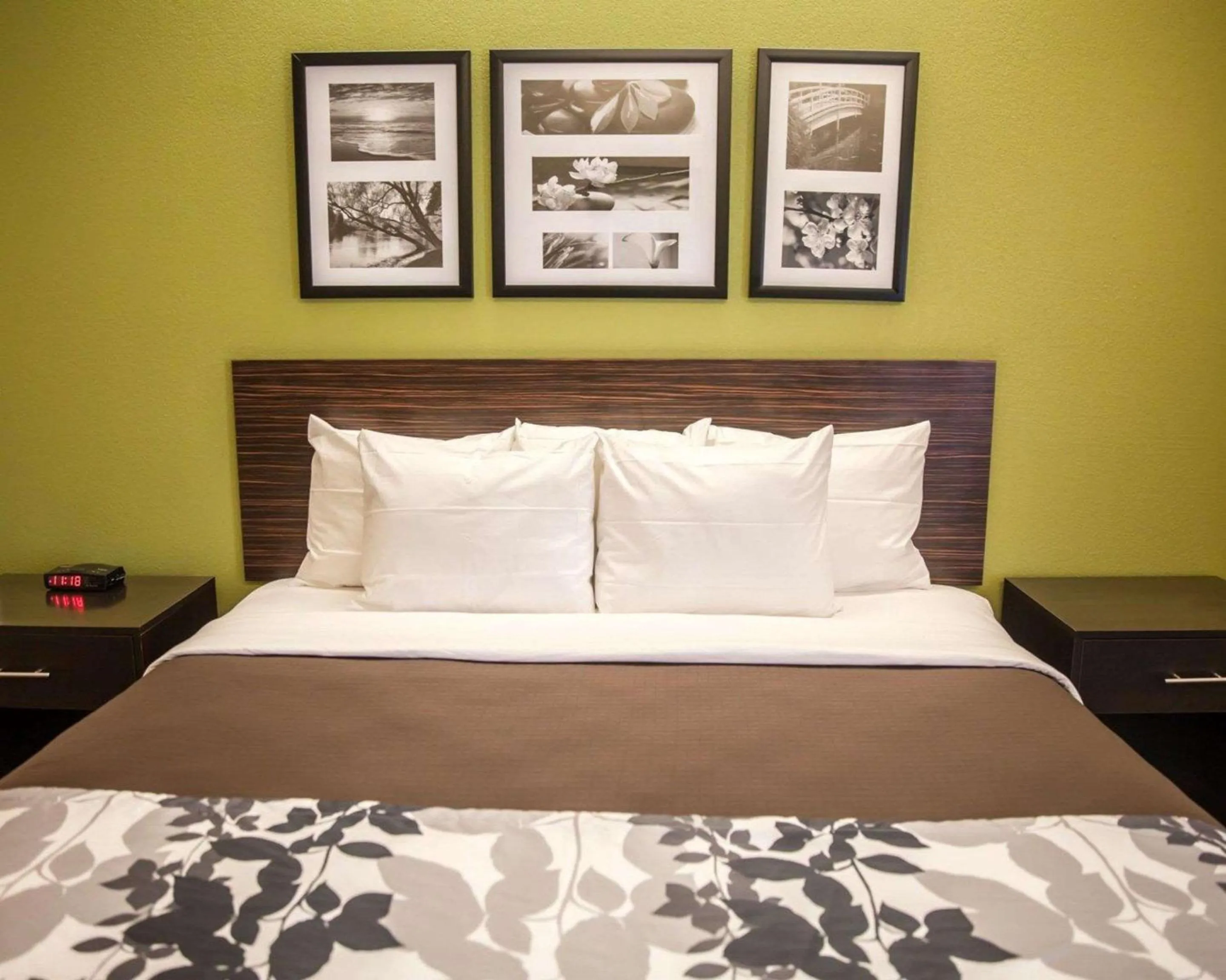 Photo of the whole room, Bed in Sleep Inn & Suites Hagerstown