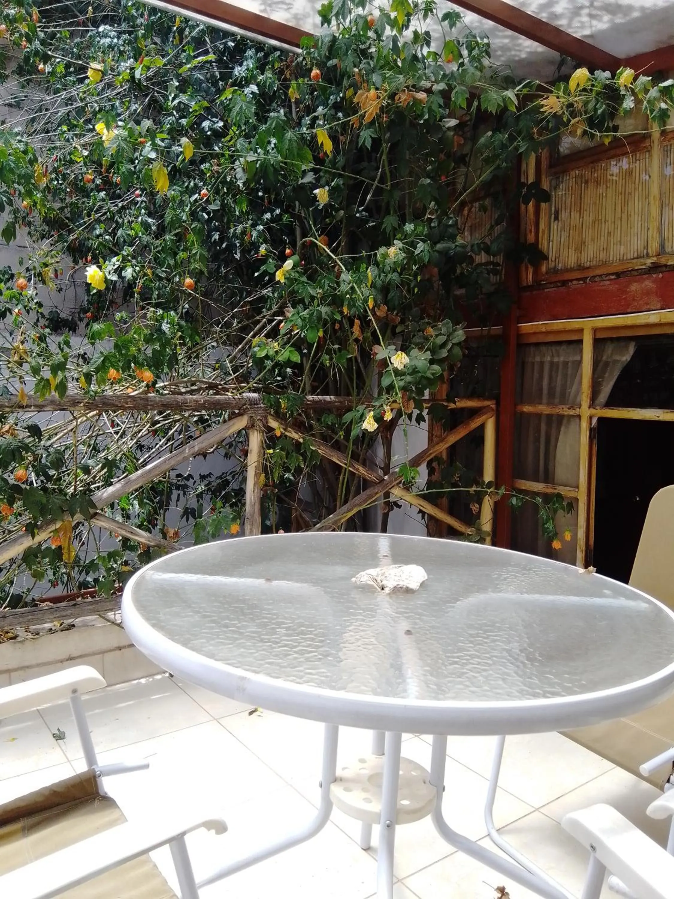 Casa De Mama Cusco - The Treehouse