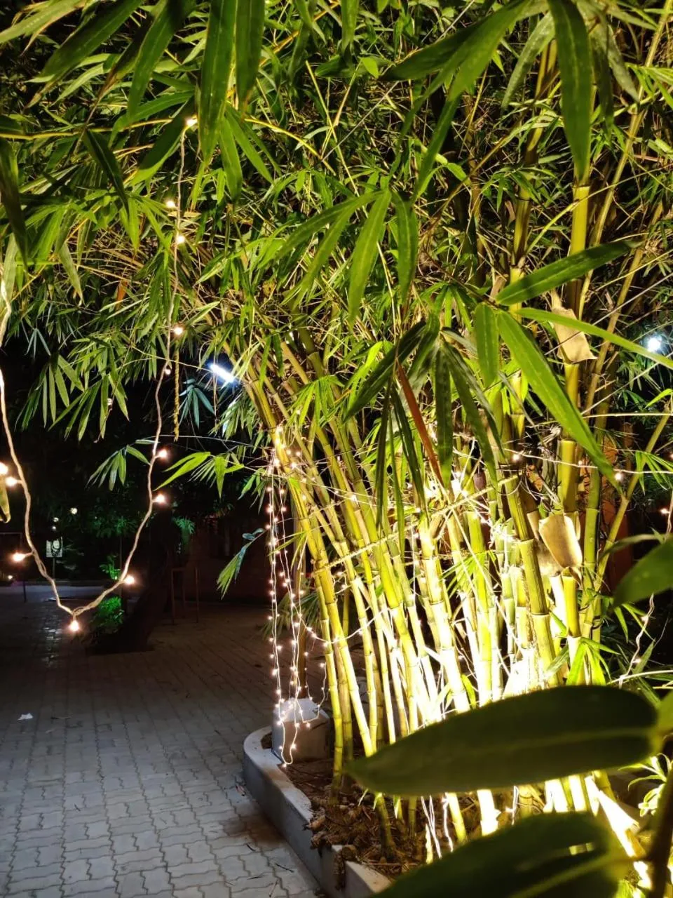 Restaurant/places to eat in Mermaid Resorts & Banquets