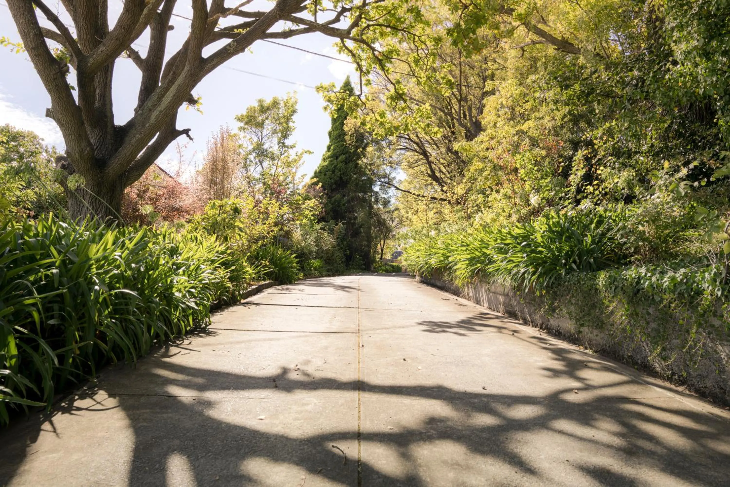 Property building in Graham Apartments