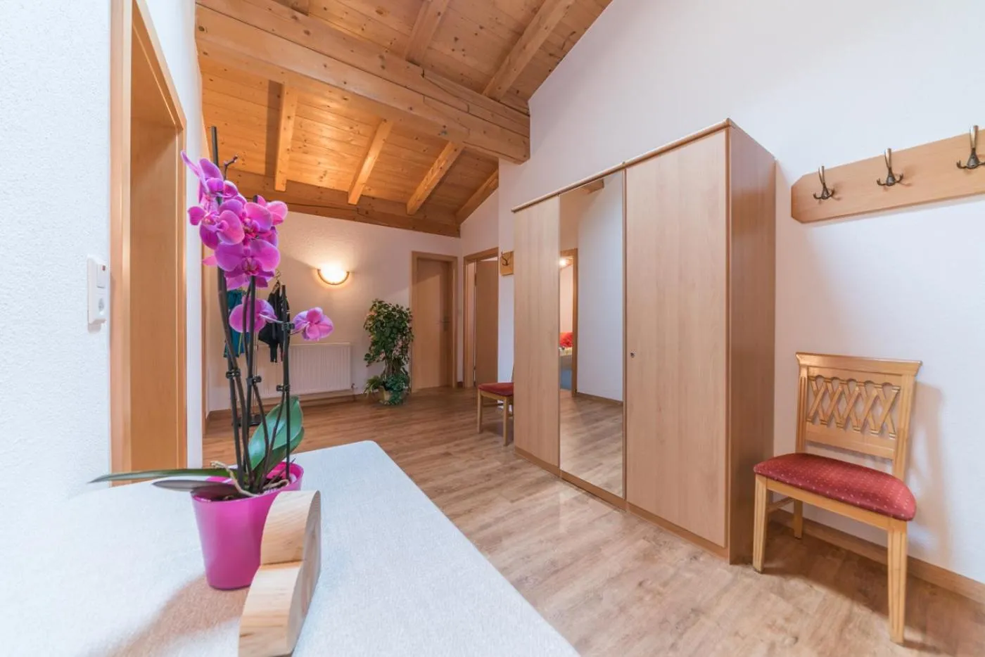 Area and facilities in Appartement Nicola