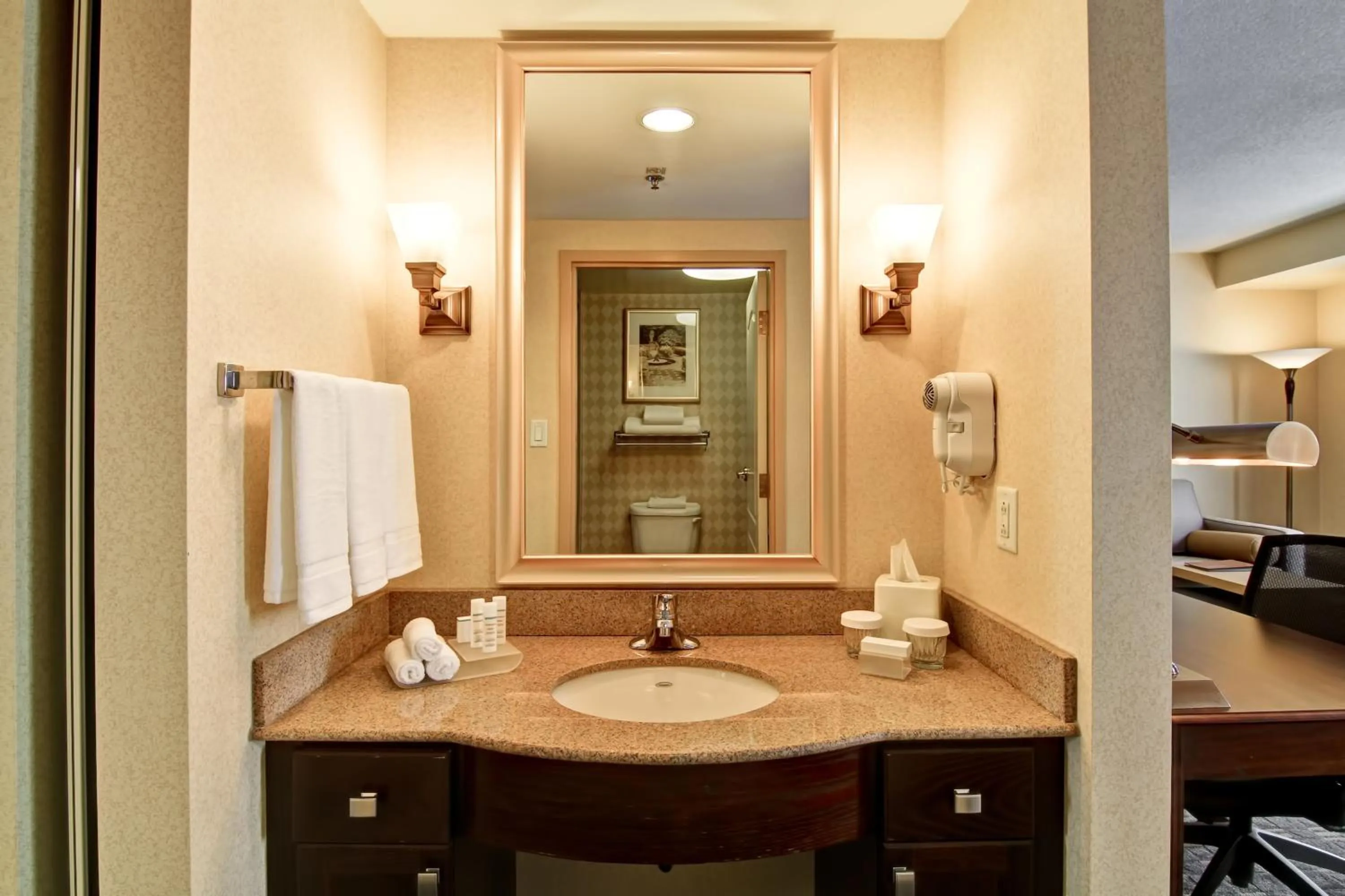 Bathroom in Homewood Suites by Hilton Toronto Mississauga