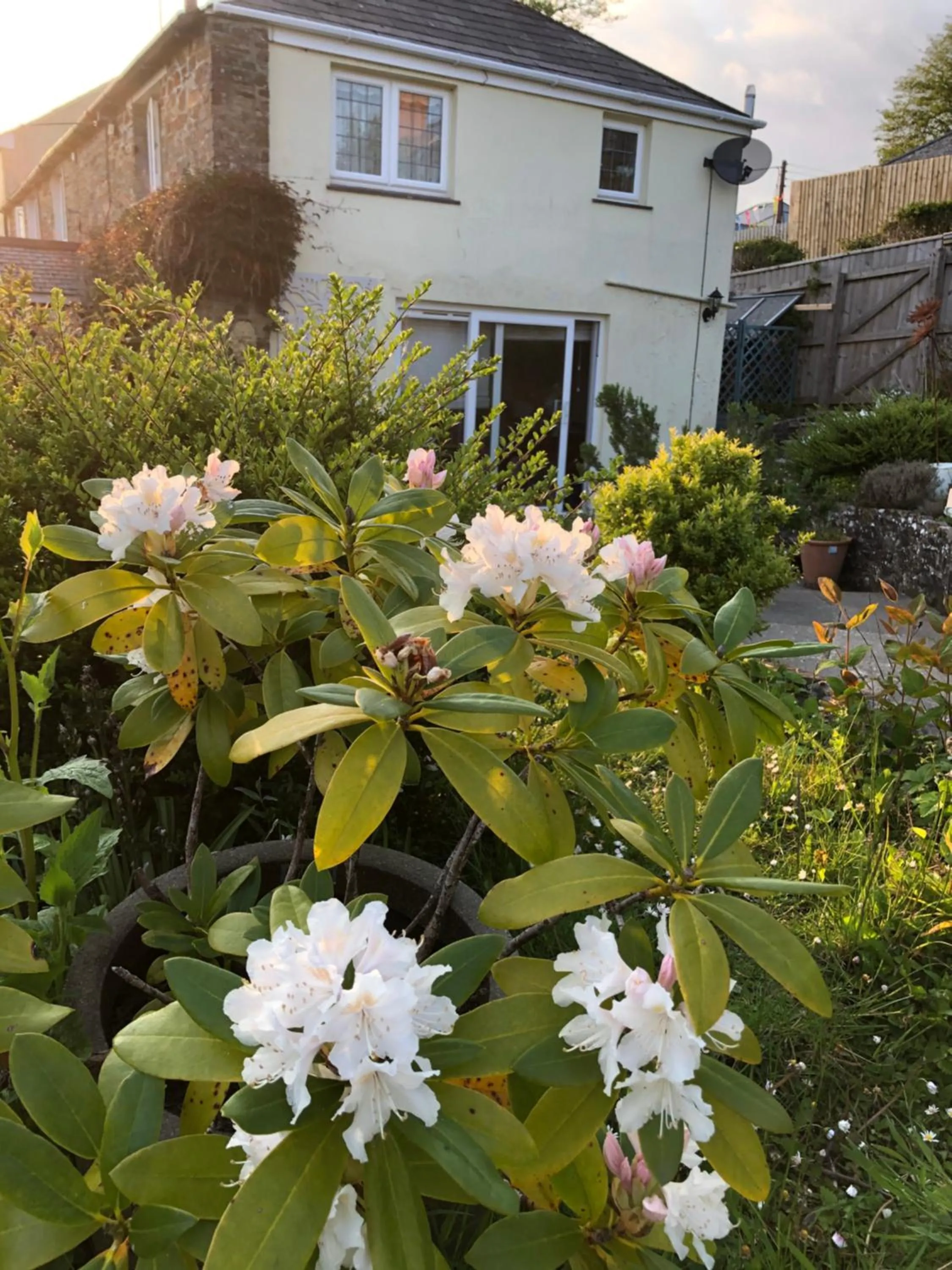 Property building in Priory Cottage Bodmin