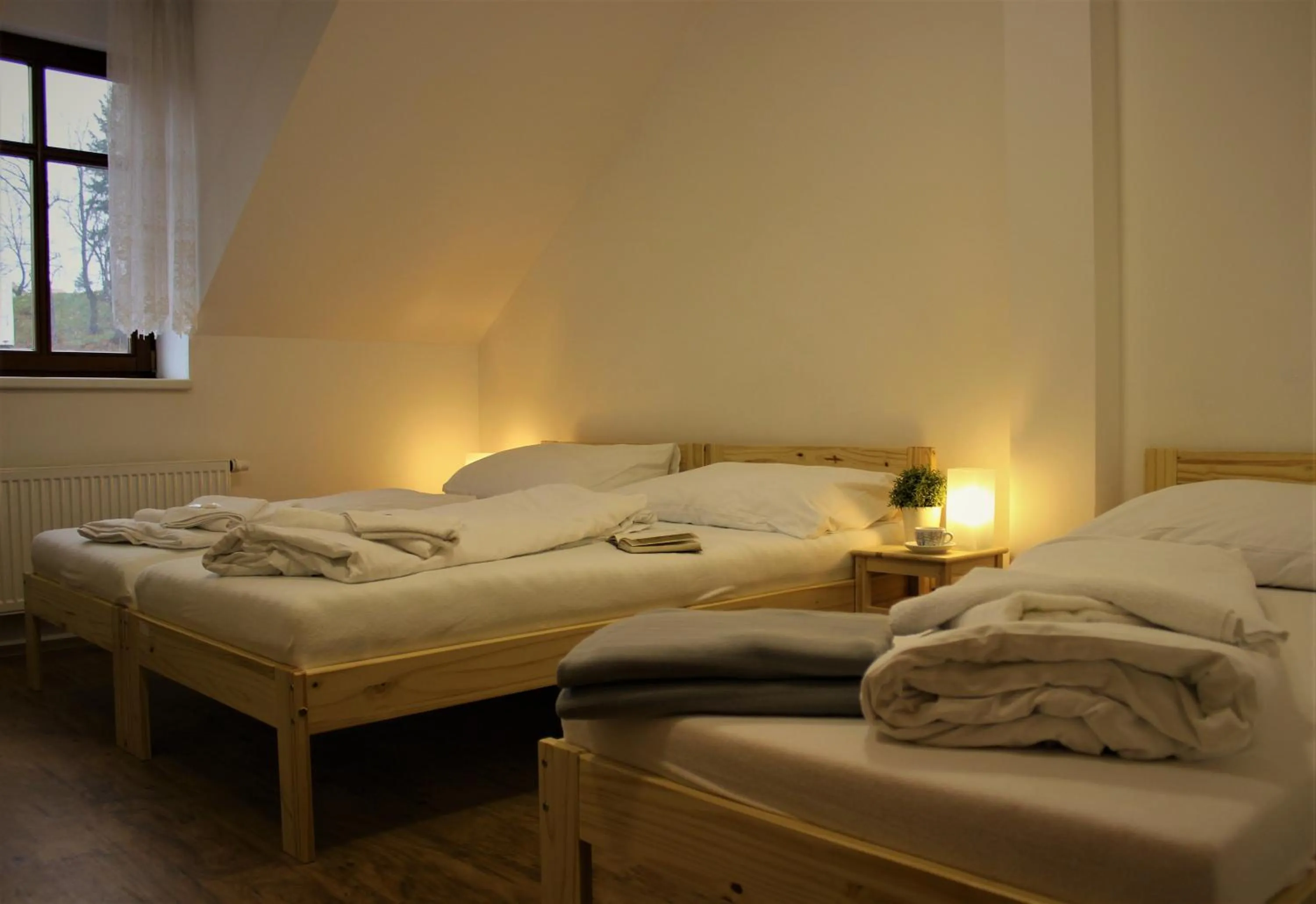Triple Room with City View in Penzion a restaurace U ŘEKY