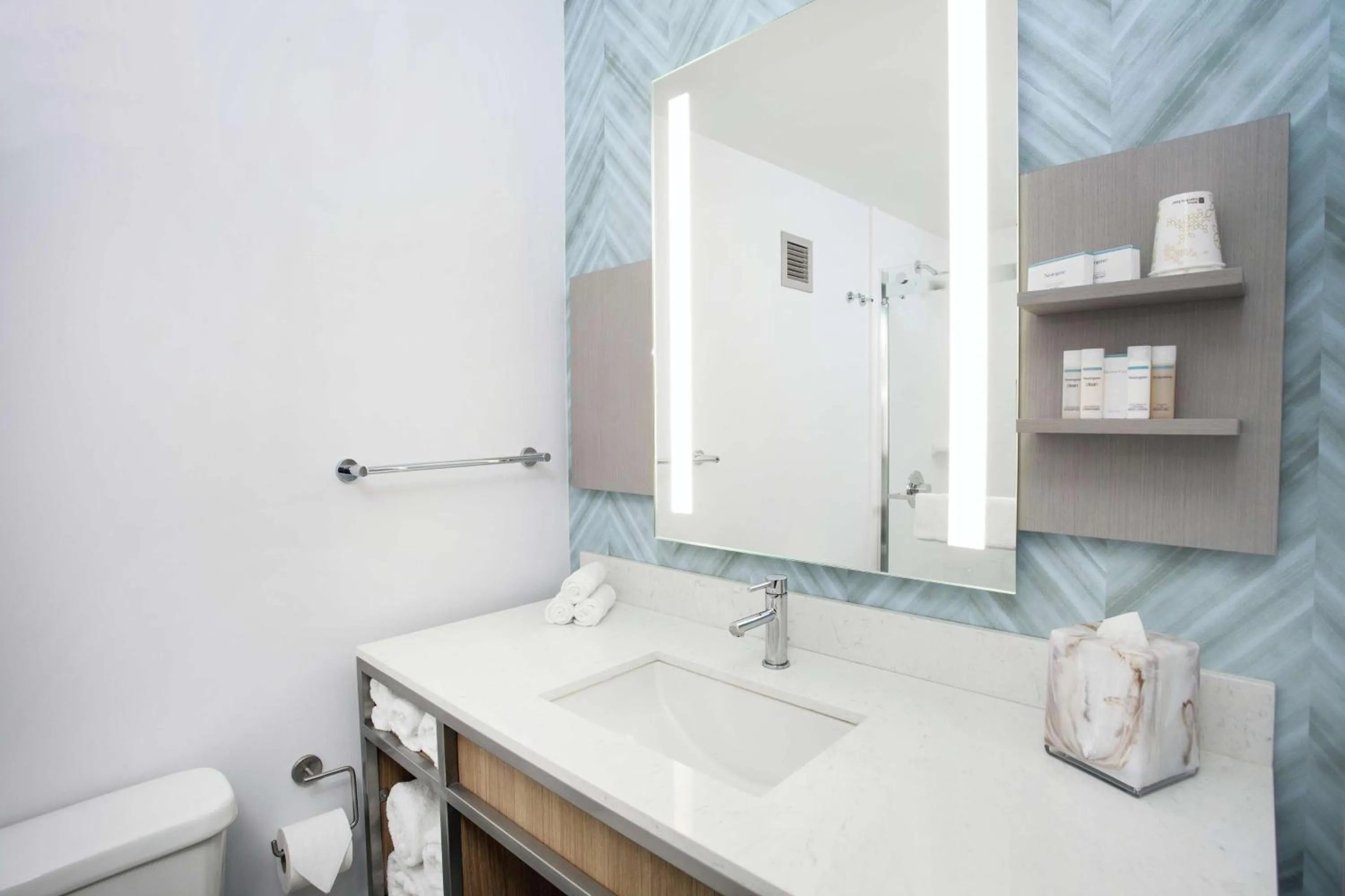 Bathroom in Hilton Garden Inn Evanston