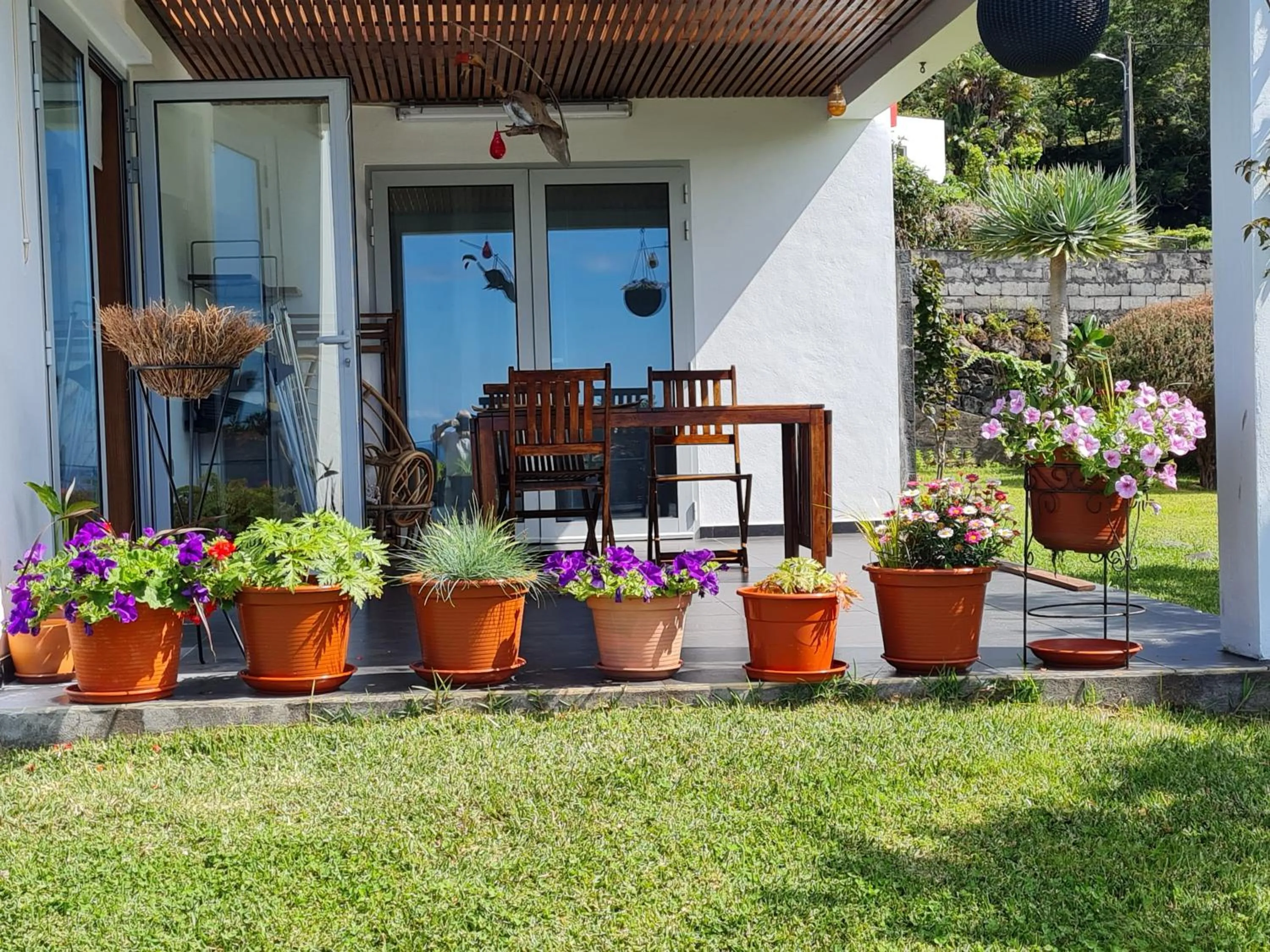 Garden in Casa da Ribeira