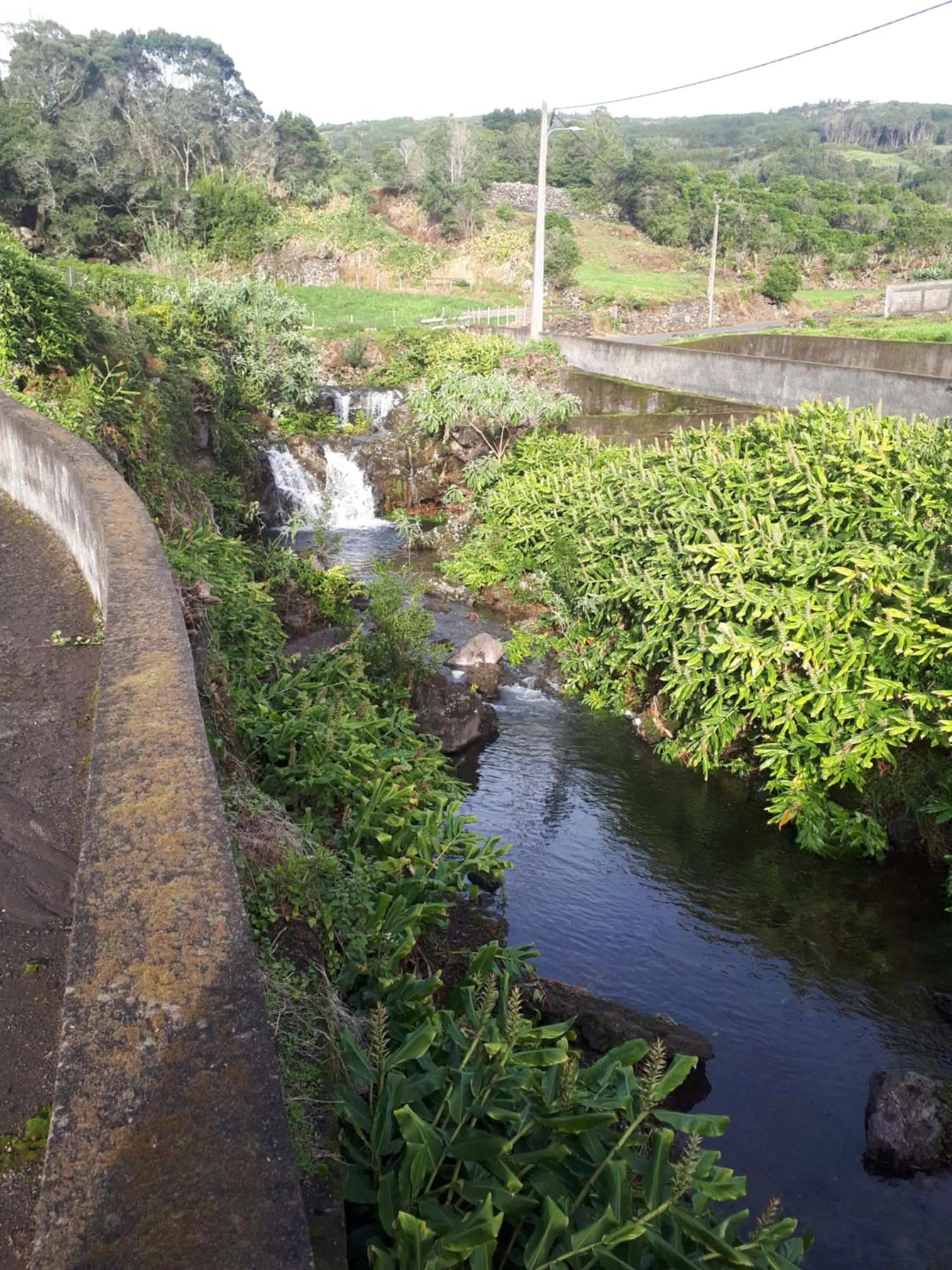 Natural landscape in Casa da Ribeira