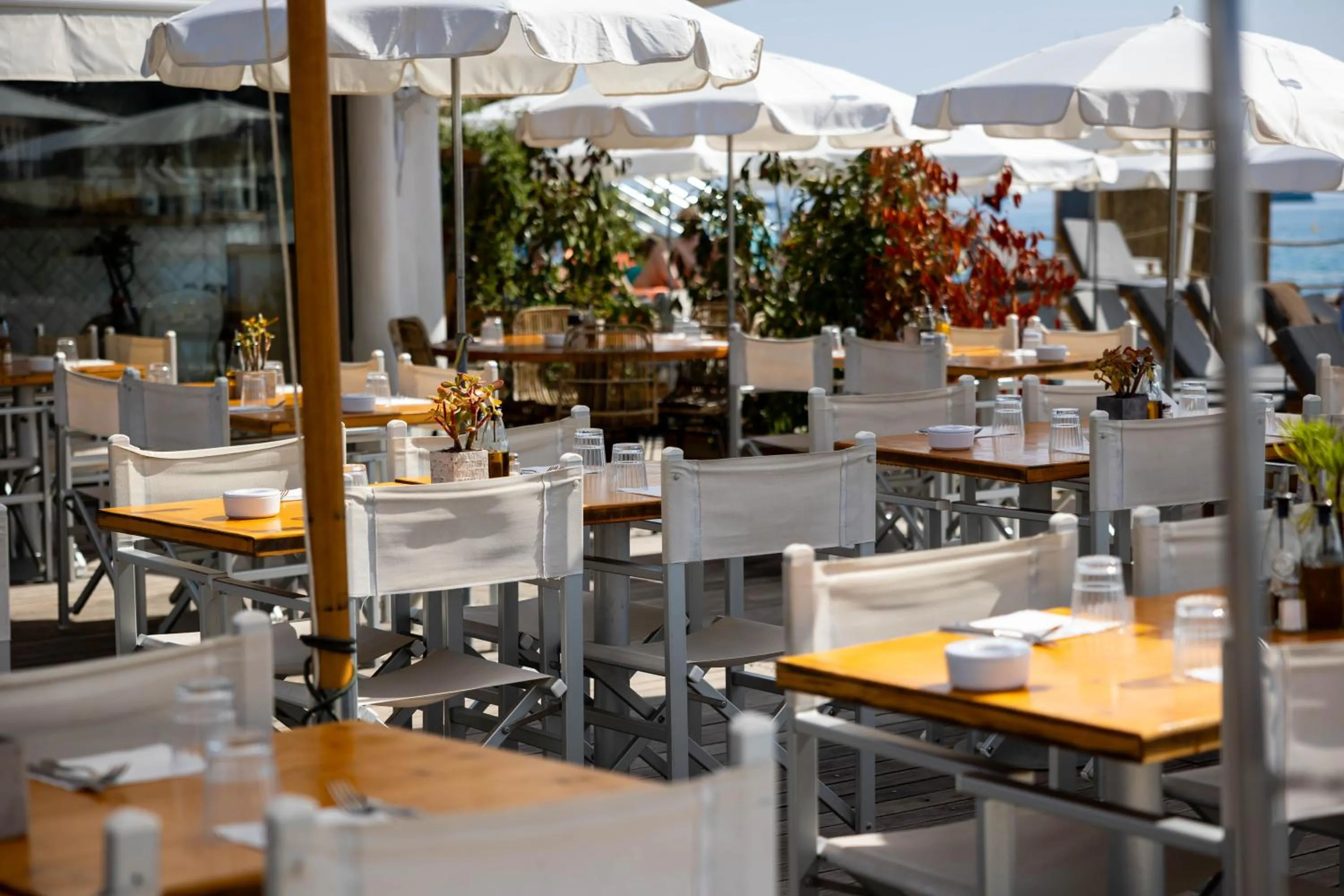 Restaurant/places to eat in Royal Antibes - Luxury Hotel, Résidence, Beach & Spa