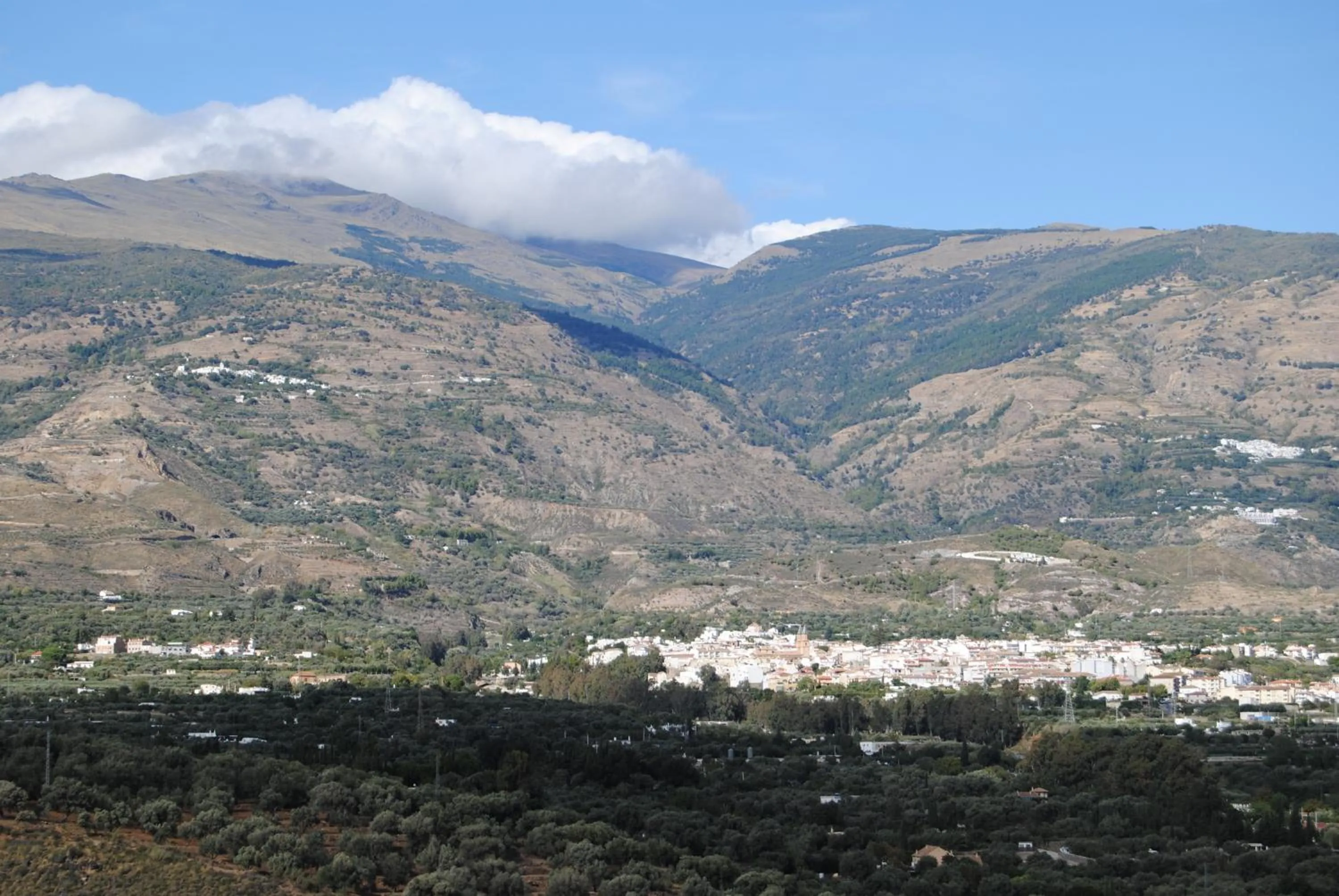 Other in Hotel Mirasol