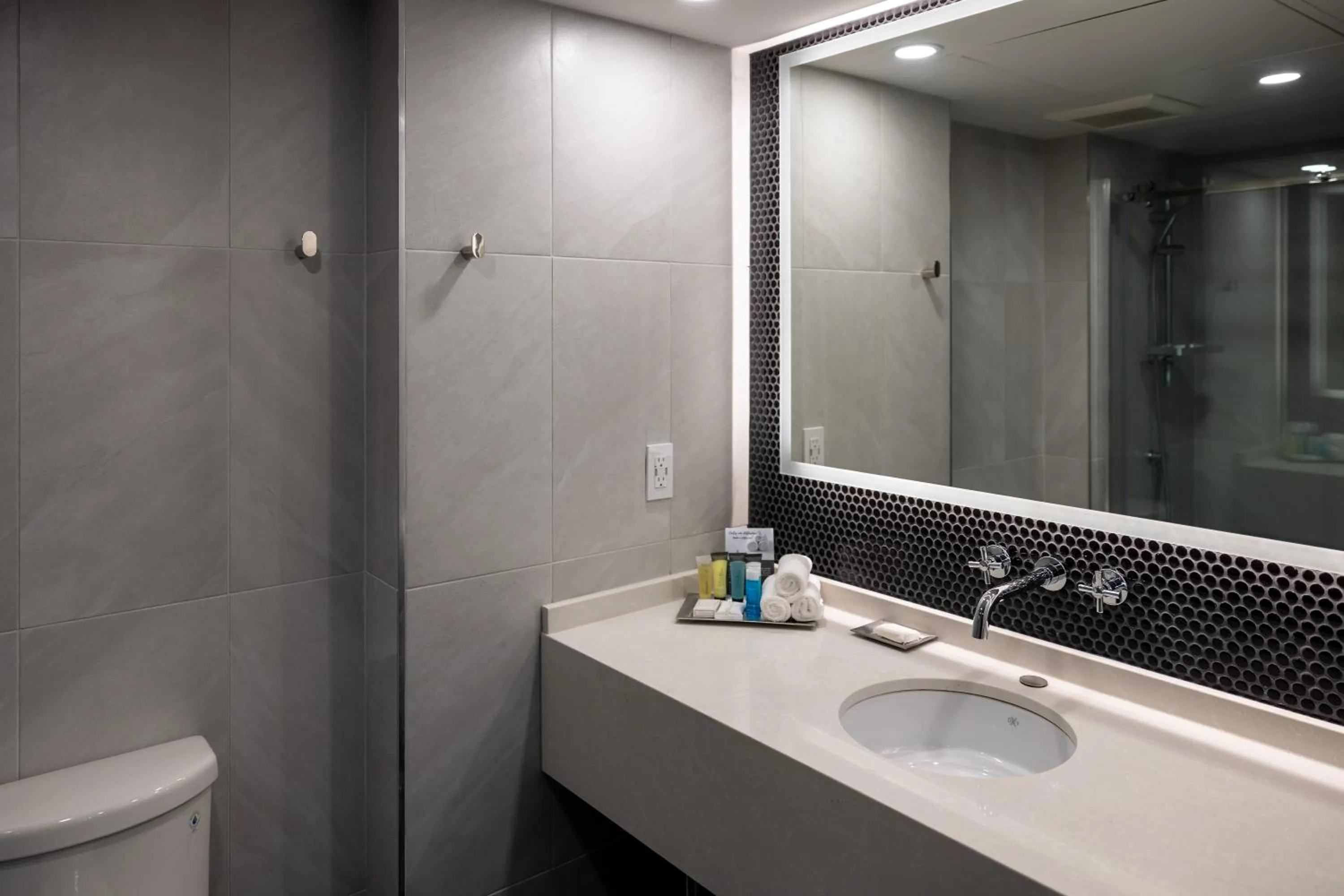 Bathroom in Hotel Bonaventure Montreal