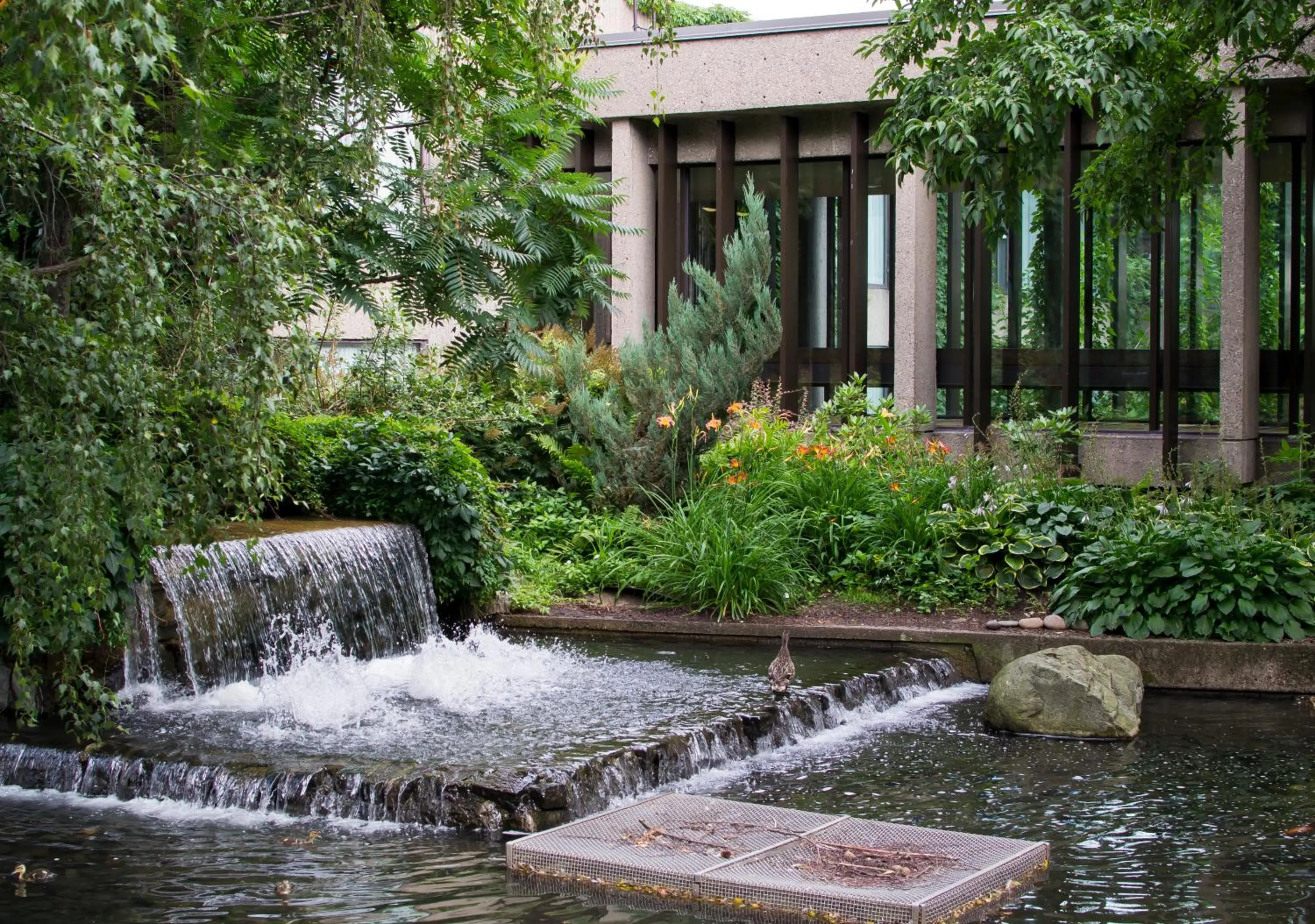 Garden in Hotel Bonaventure Montreal