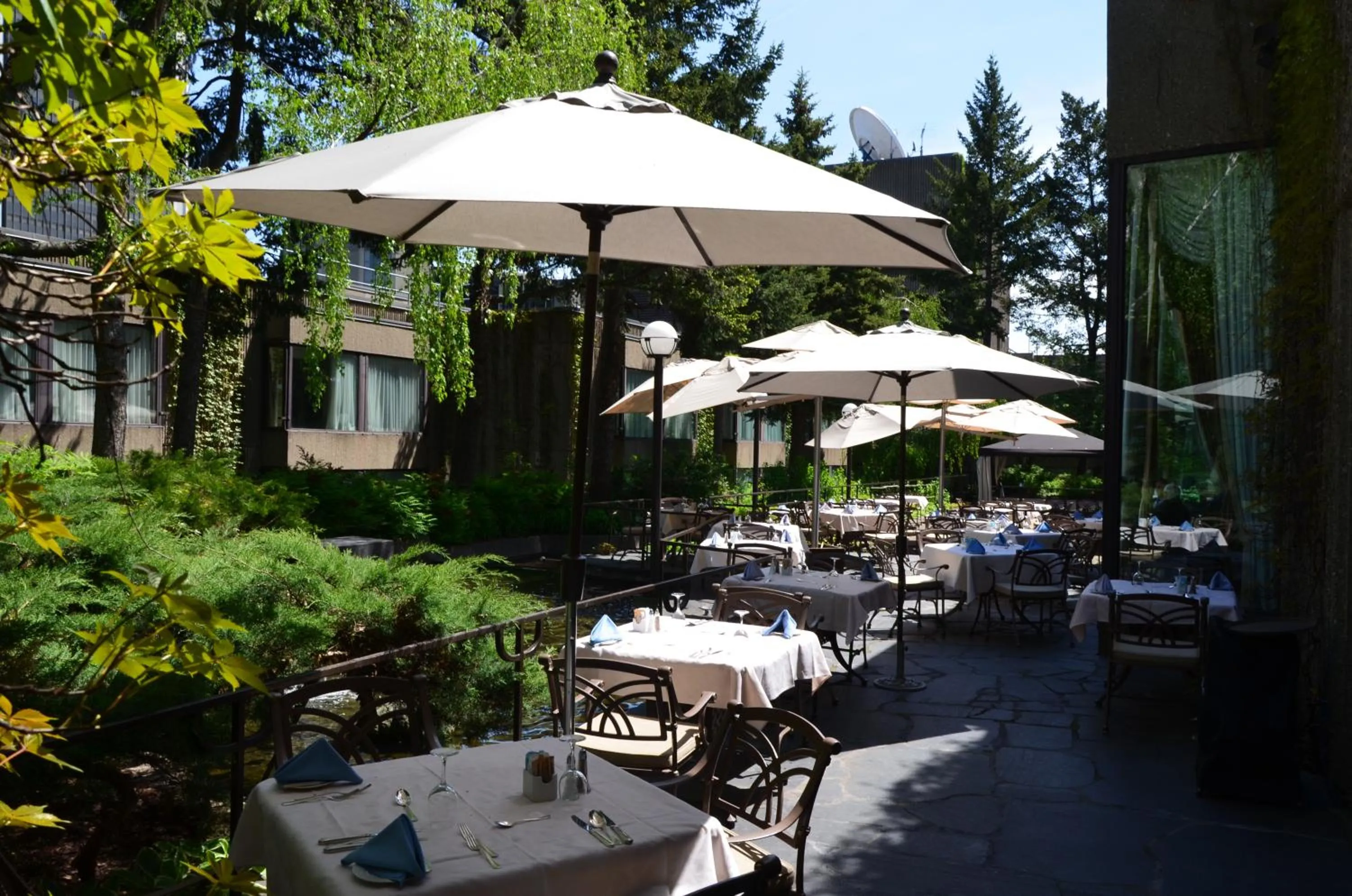 Restaurant/places to eat in Hotel Bonaventure Montreal