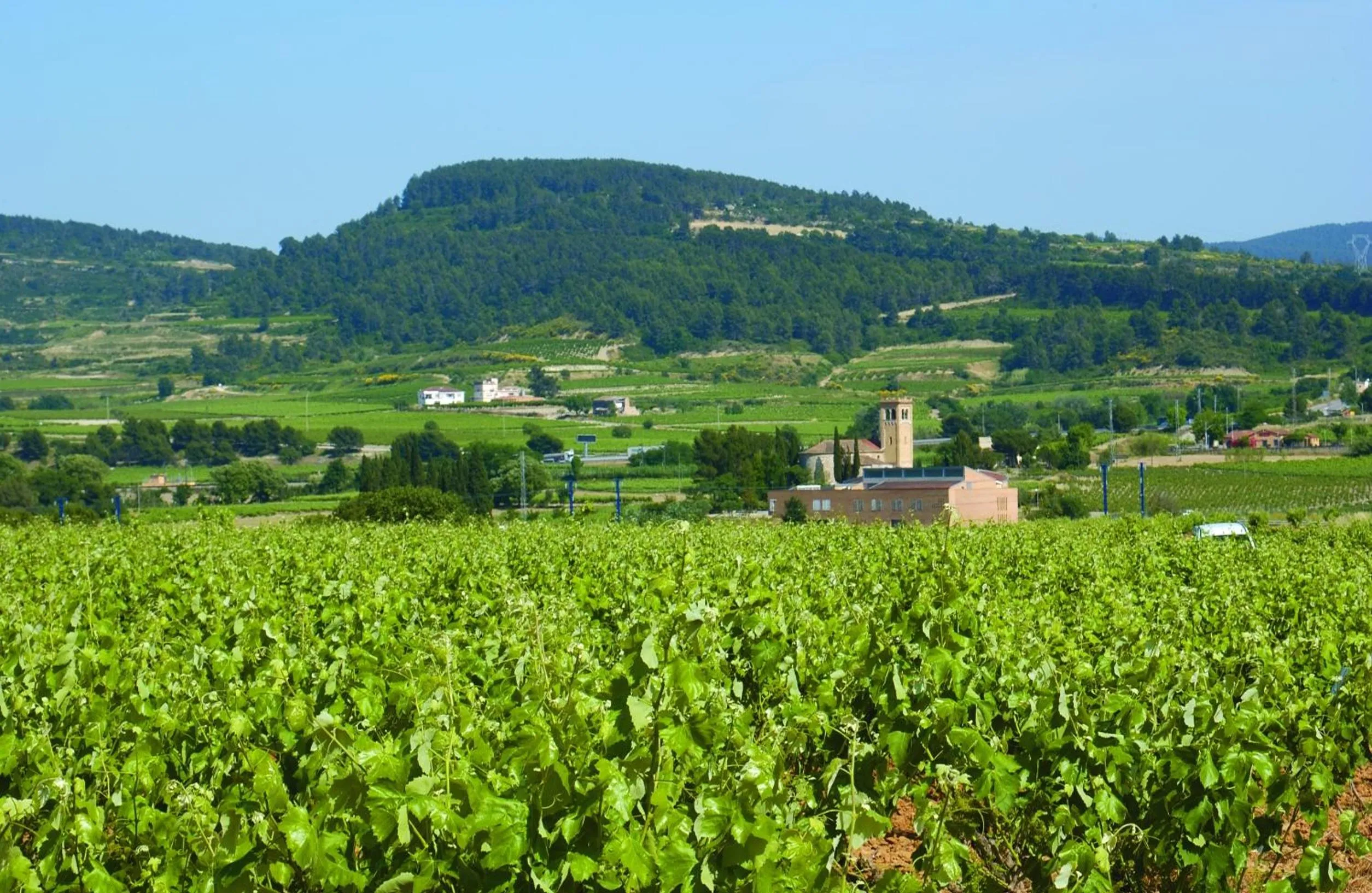 Day in Hotel Restaurant Sol i Vi