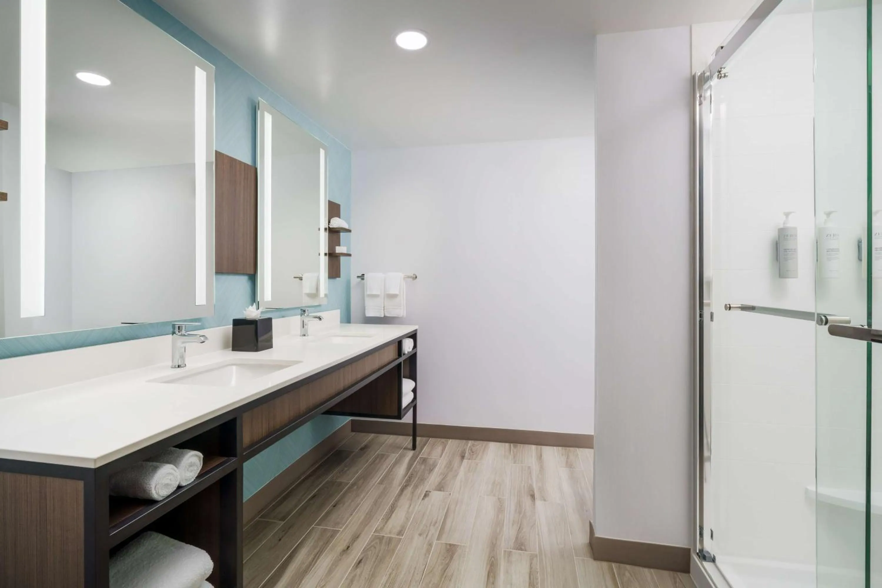 Bathroom in Hilton Garden Inn Lake Mary