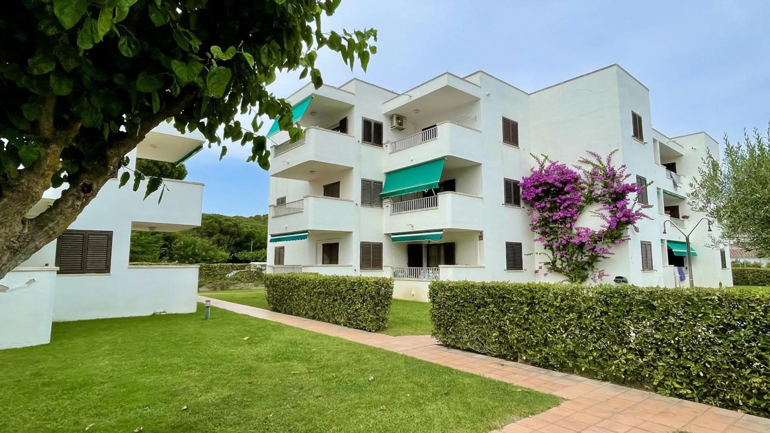 Property building in Cala Montgo 33