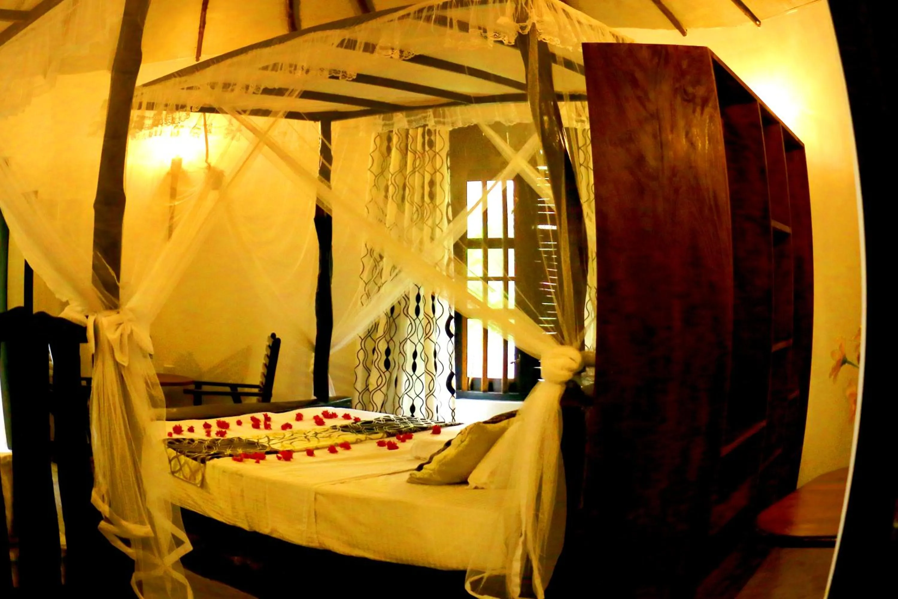 Bed in Turtle Watch Cabana