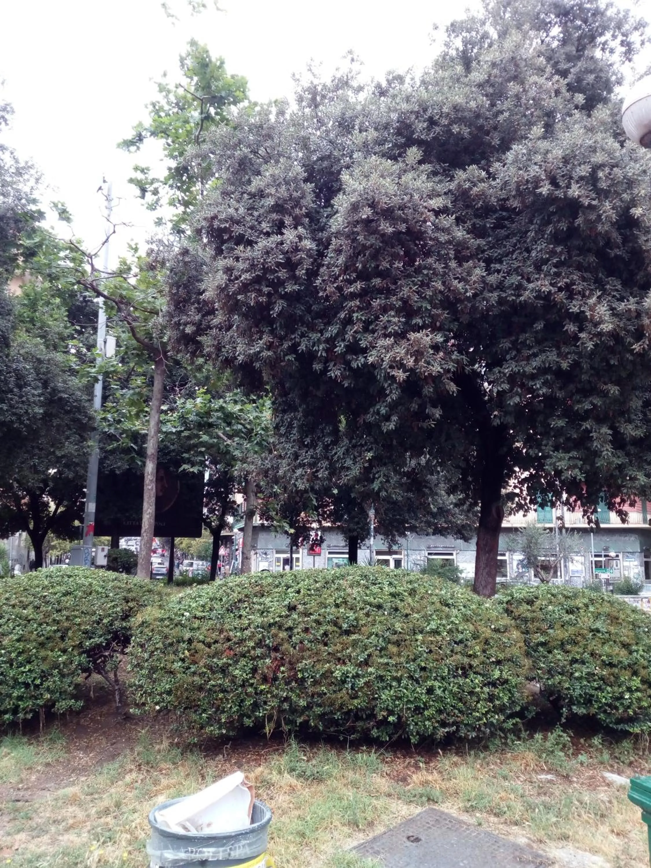 Property building in Cicicocó