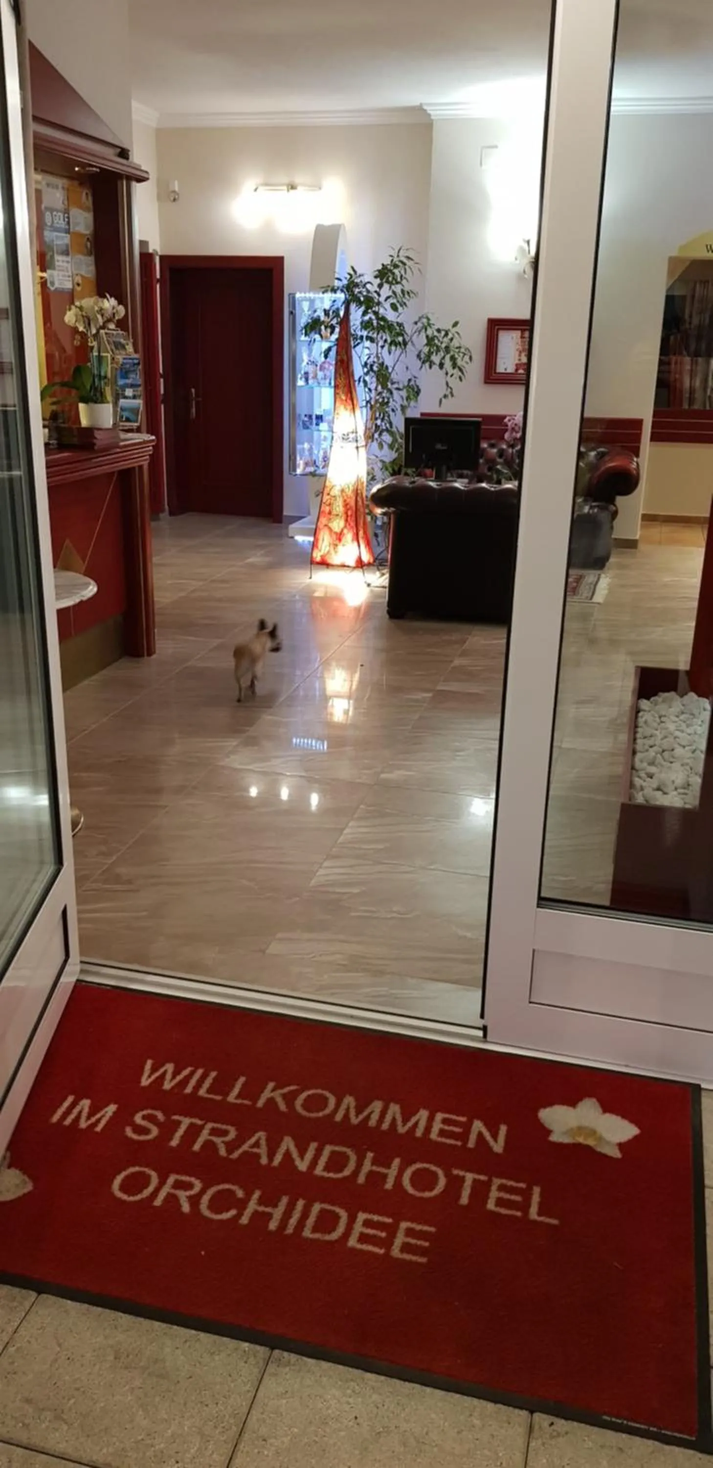 Lobby or reception in Strandhotel Orchidee