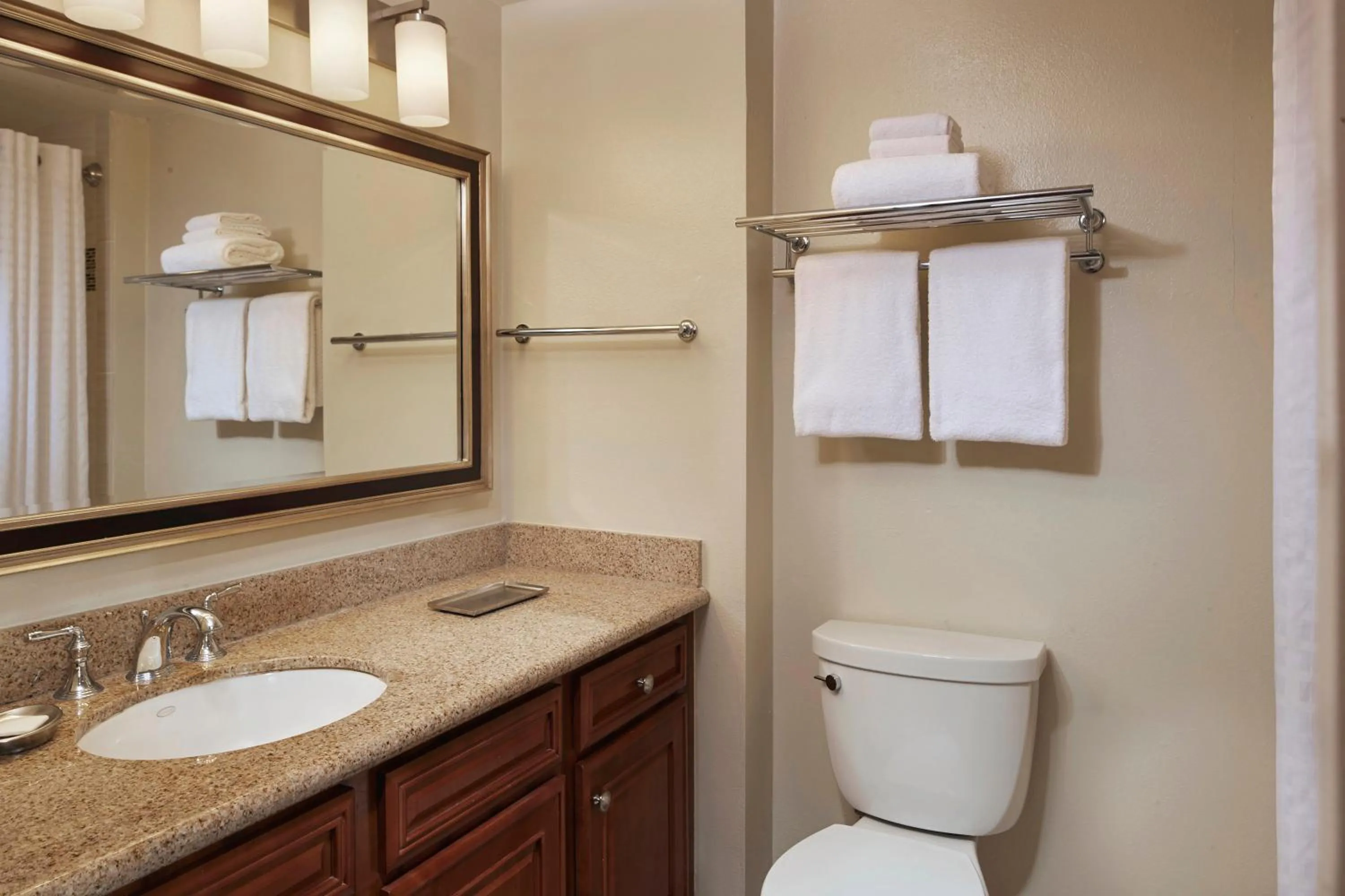 Bathroom in Hilton Grand Vacations Club SeaWorld Orlando