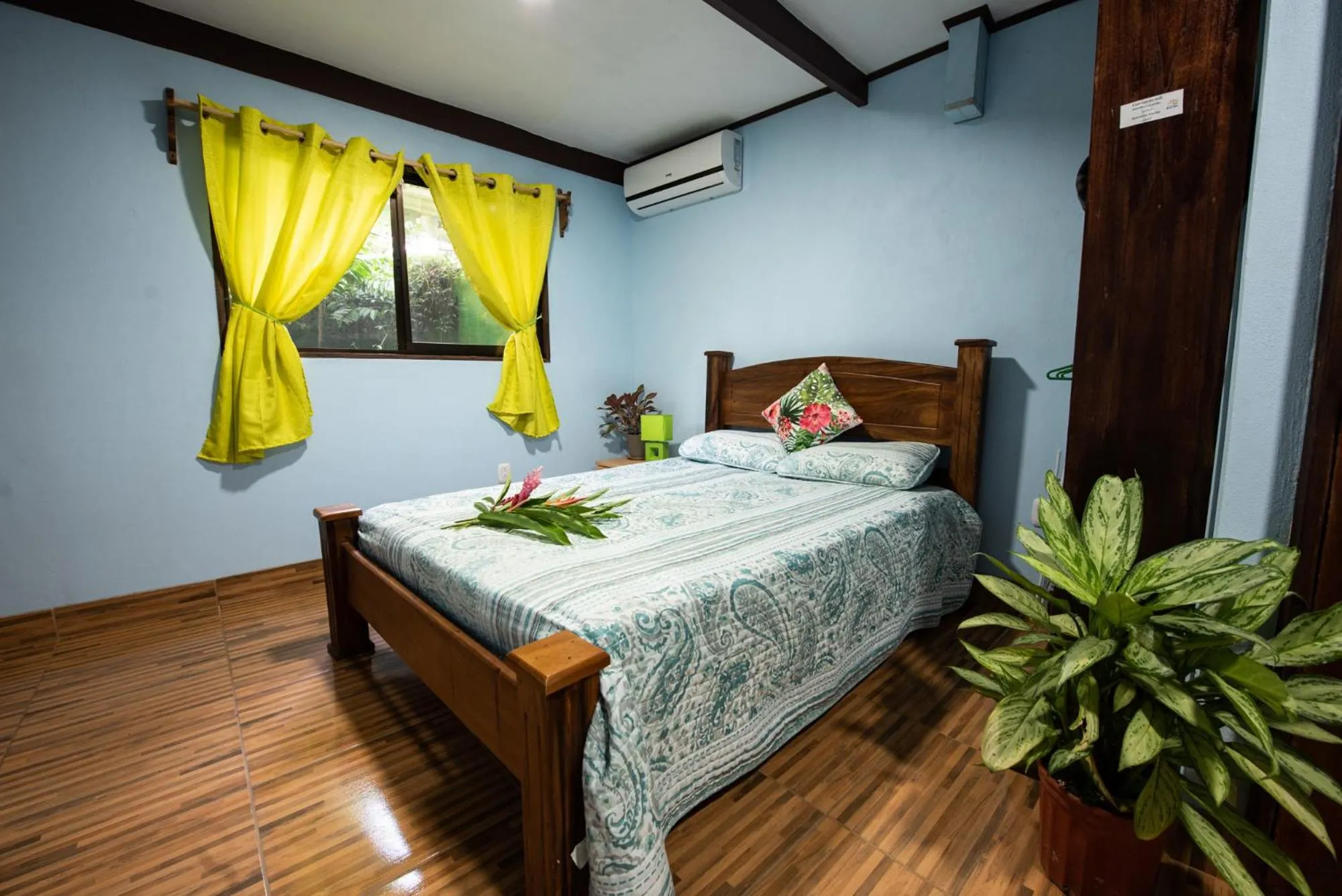 Double Room - single occupancy - Fully Equipped. in Hotel Sunshine Caribe