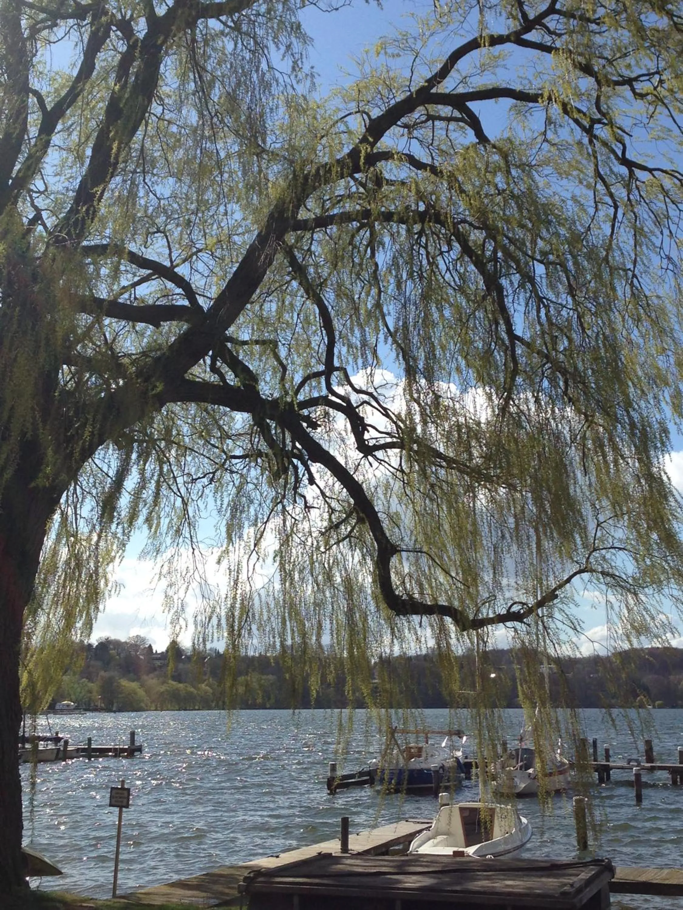 Nearby landmark in Wittlers Hotel