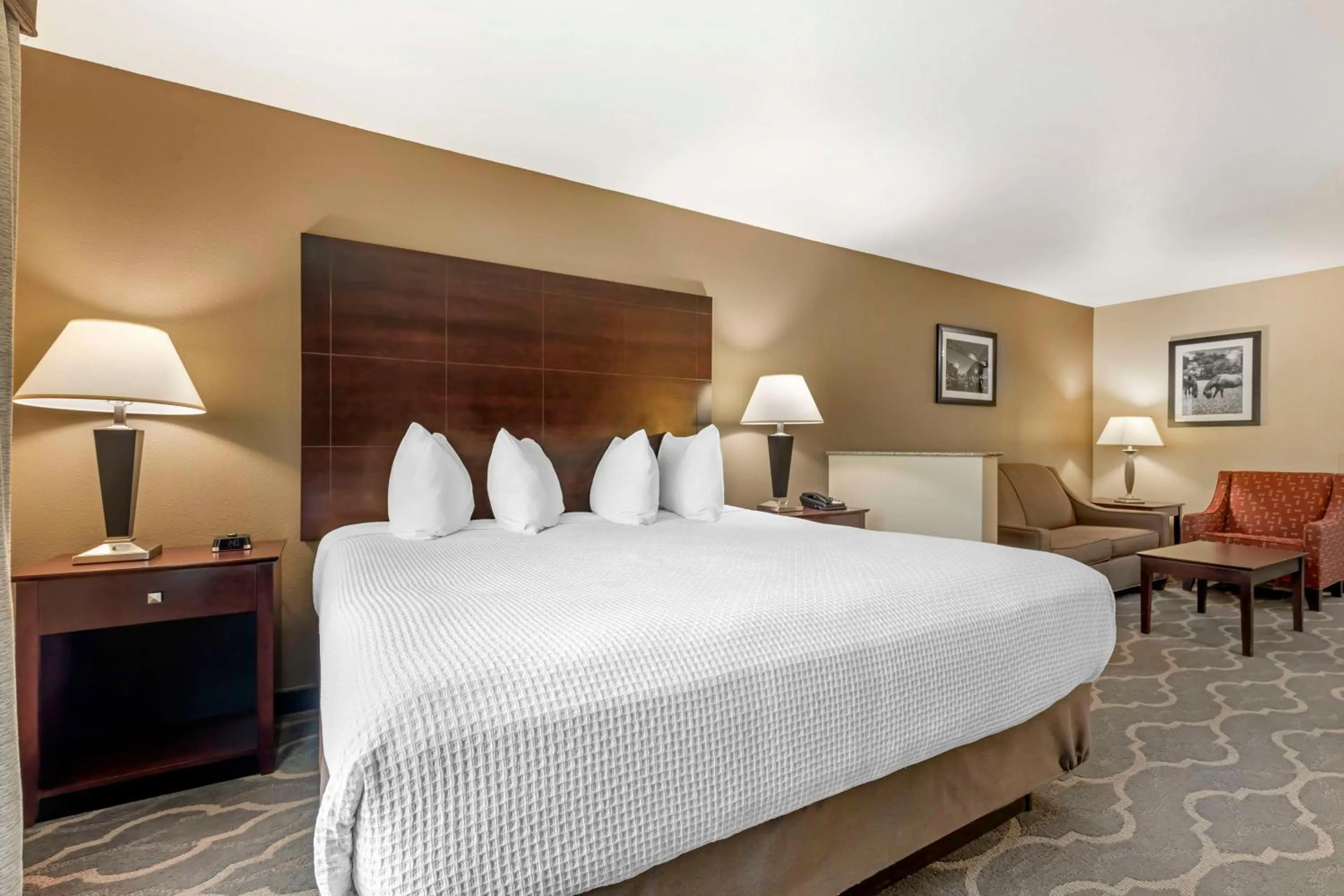 Photo of the whole room, Bed in Best Western Plus Burleson Inn & Suites