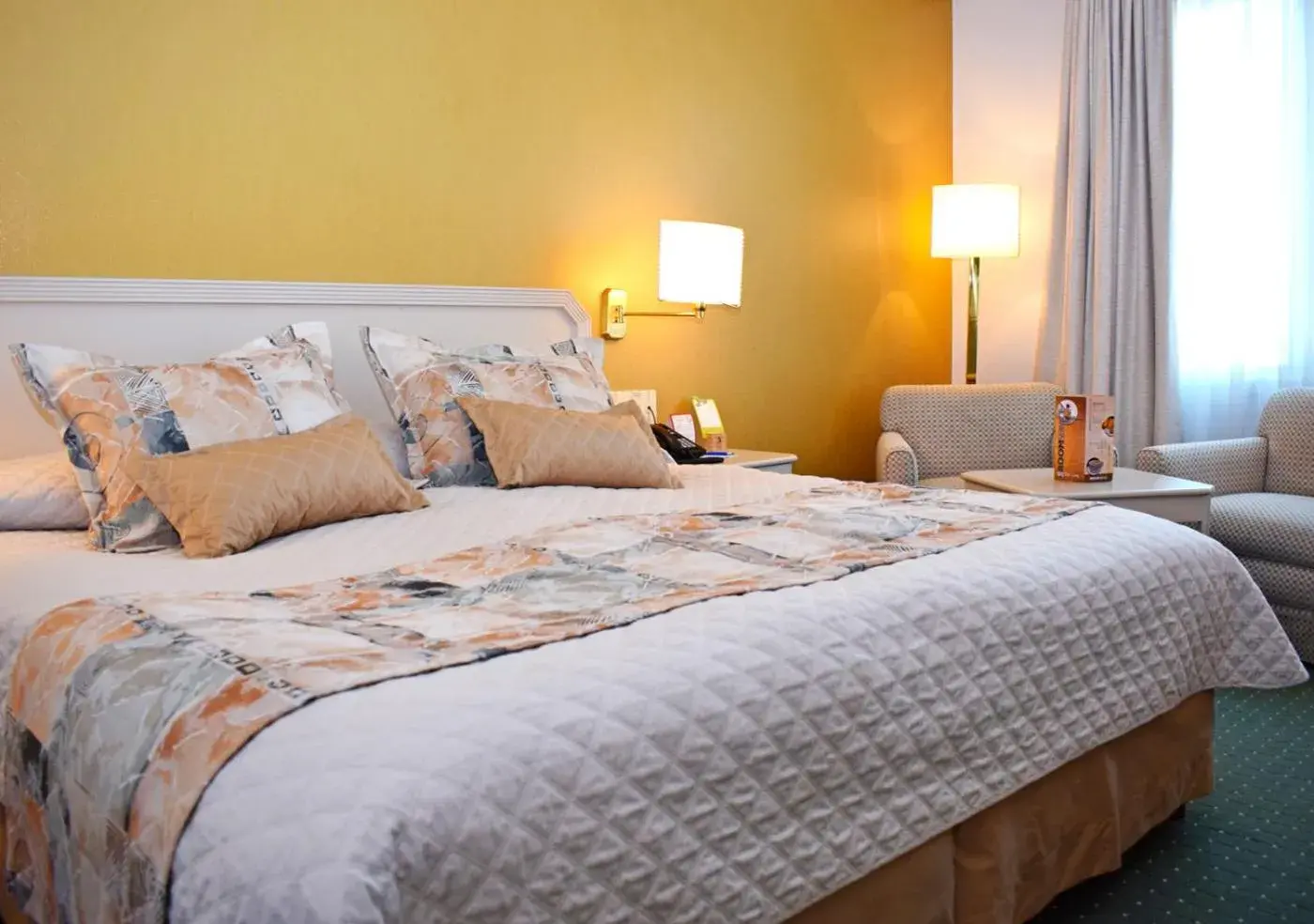 Executive King Room - single occupancy in Hotel Europa Executive King Room - single occupancy in Hotel Europa