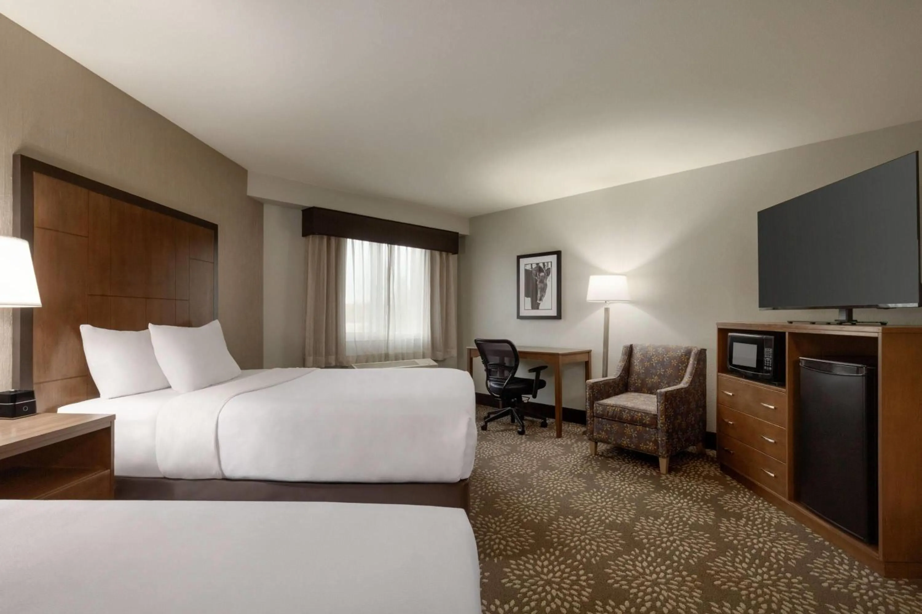 Photo of the whole room, Bed in La Quinta by Wyndham Fairbanks Airport