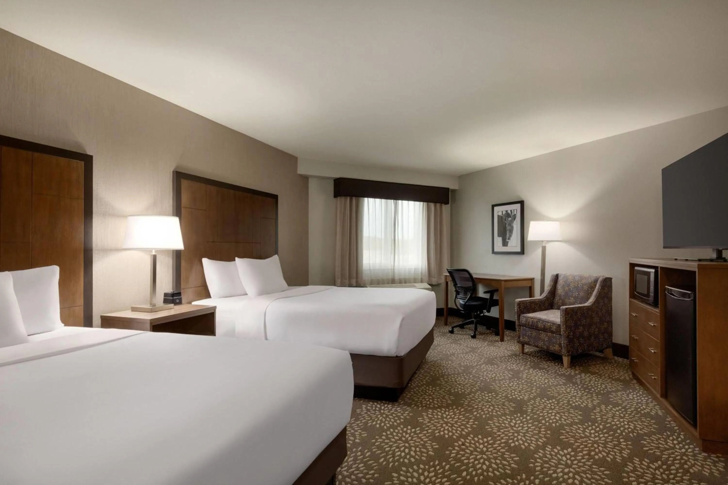 Photo of the whole room, Bed in La Quinta by Wyndham Fairbanks Airport