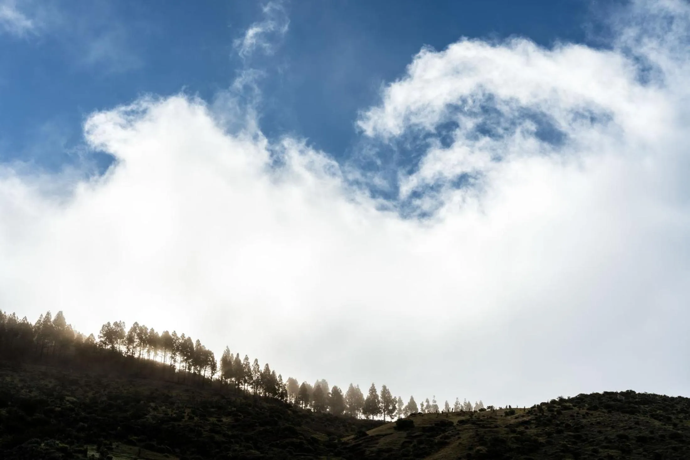 Natural landscape in Parador de Cruz de Tejeda