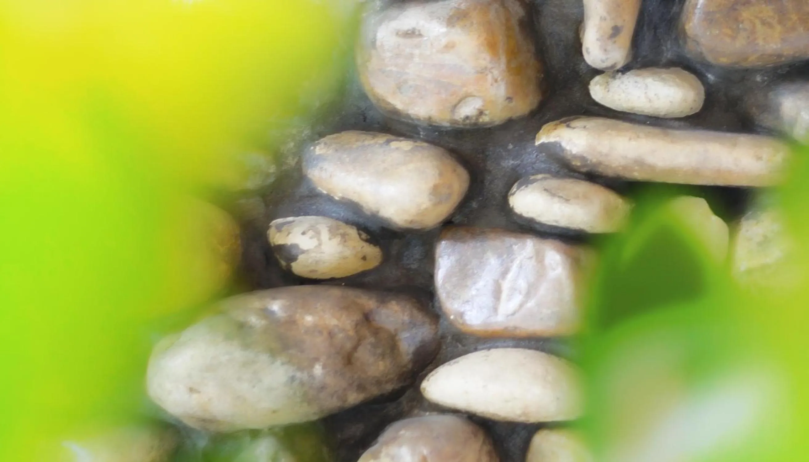 Decorative detail in Hotel Aria di Mare Bed & Breakfast & Beach in centro a Riccione