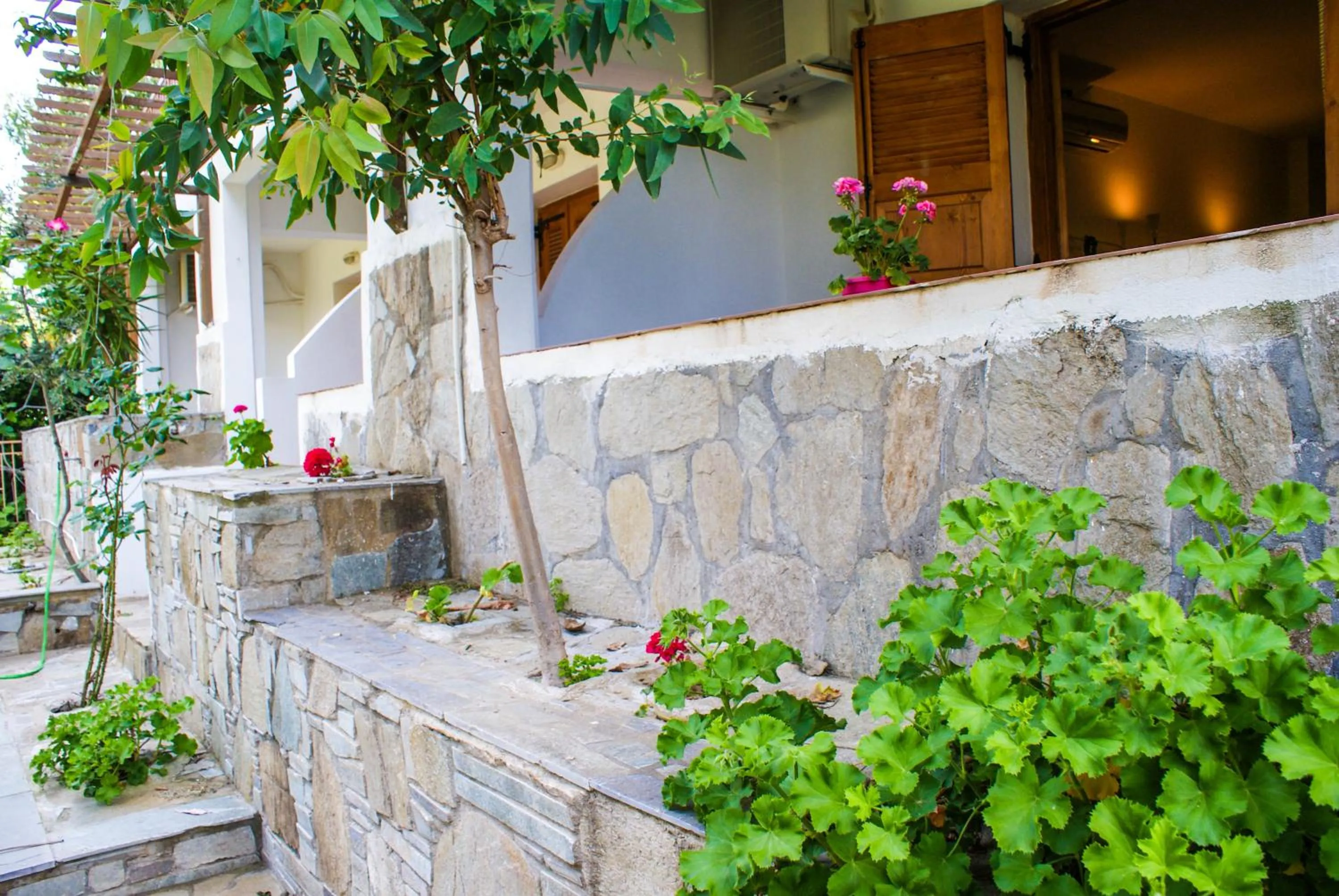 Garden in Amorani Studios