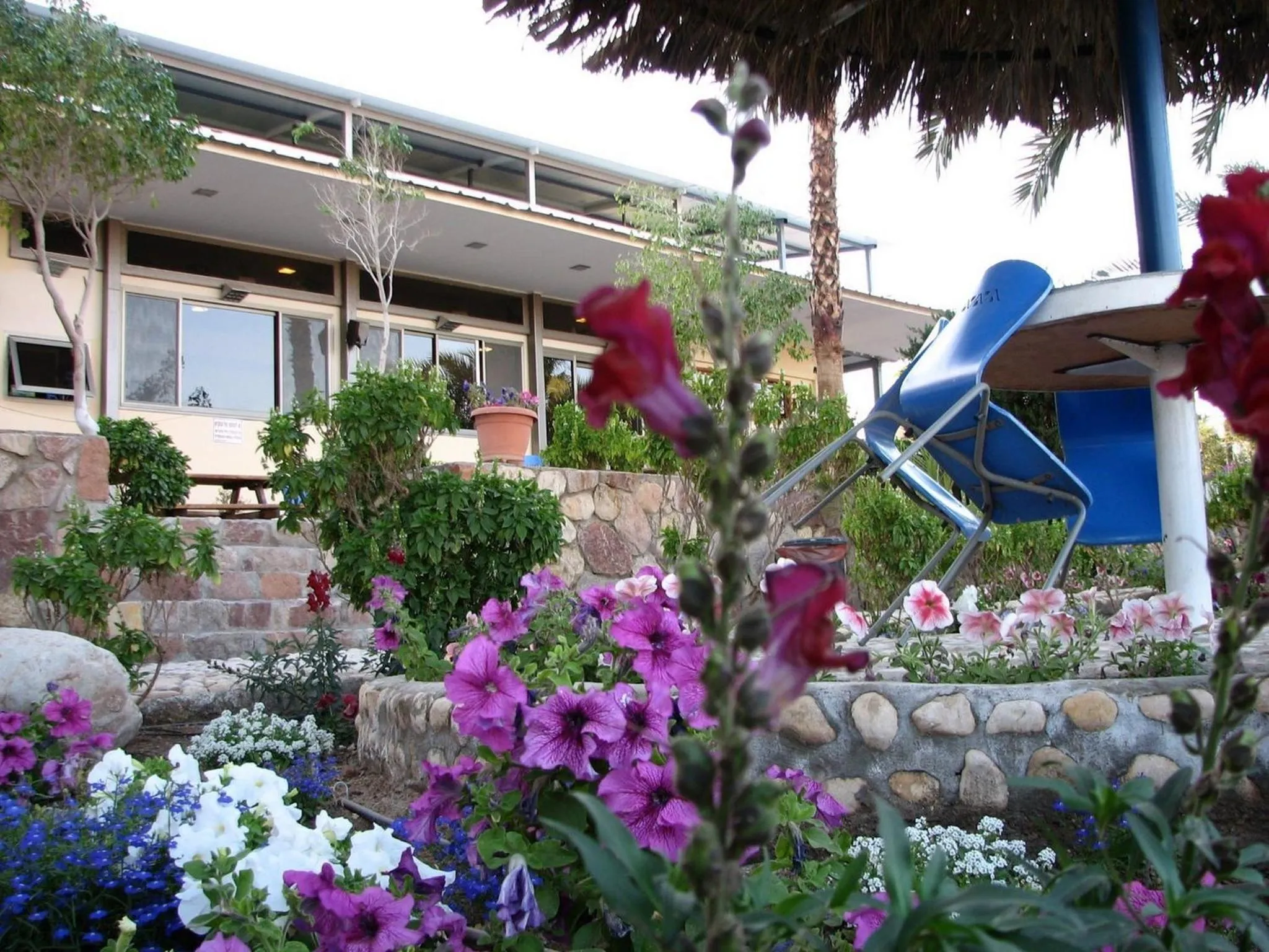 Garden in Arava Hostel