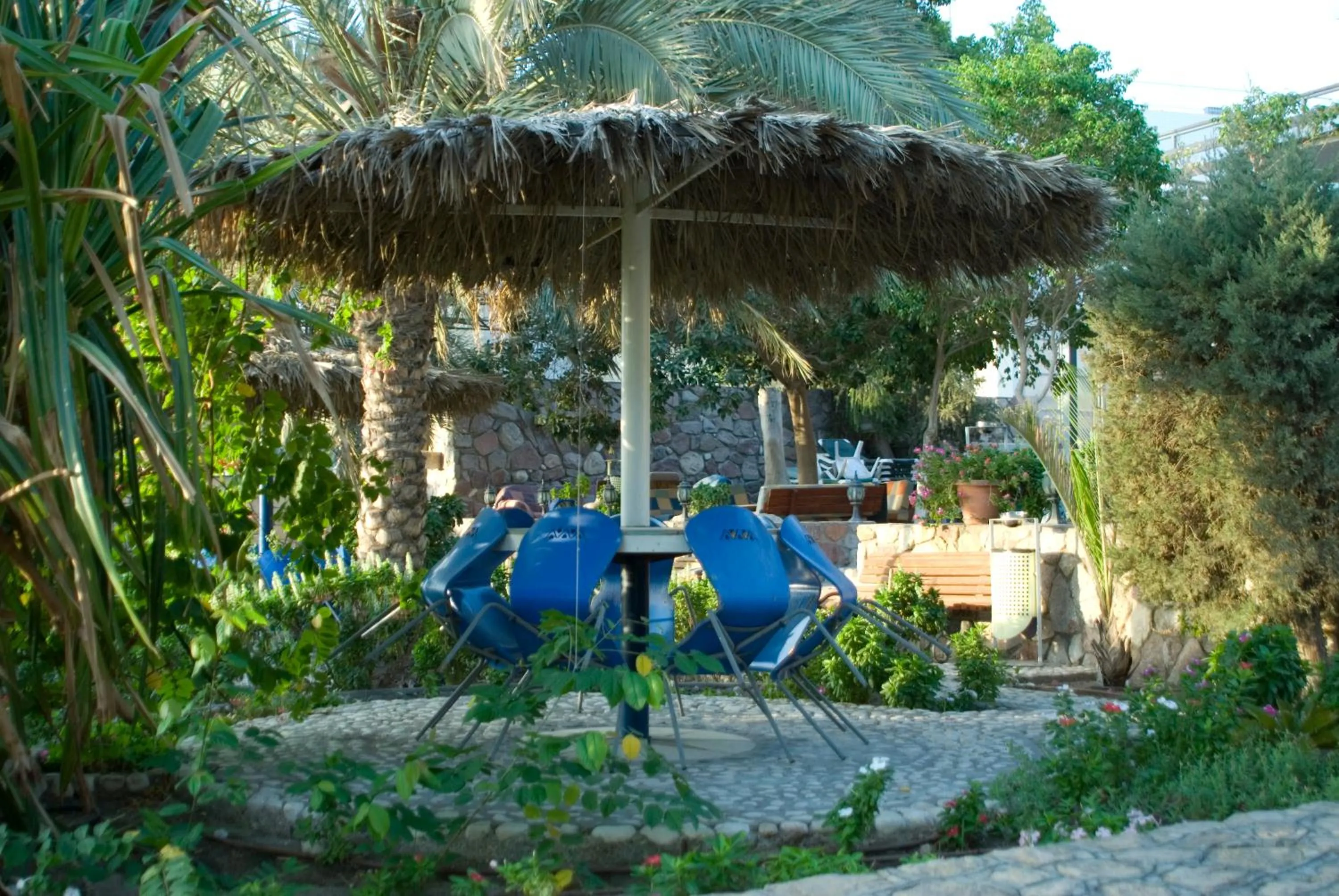 Natural landscape in Arava Hostel
