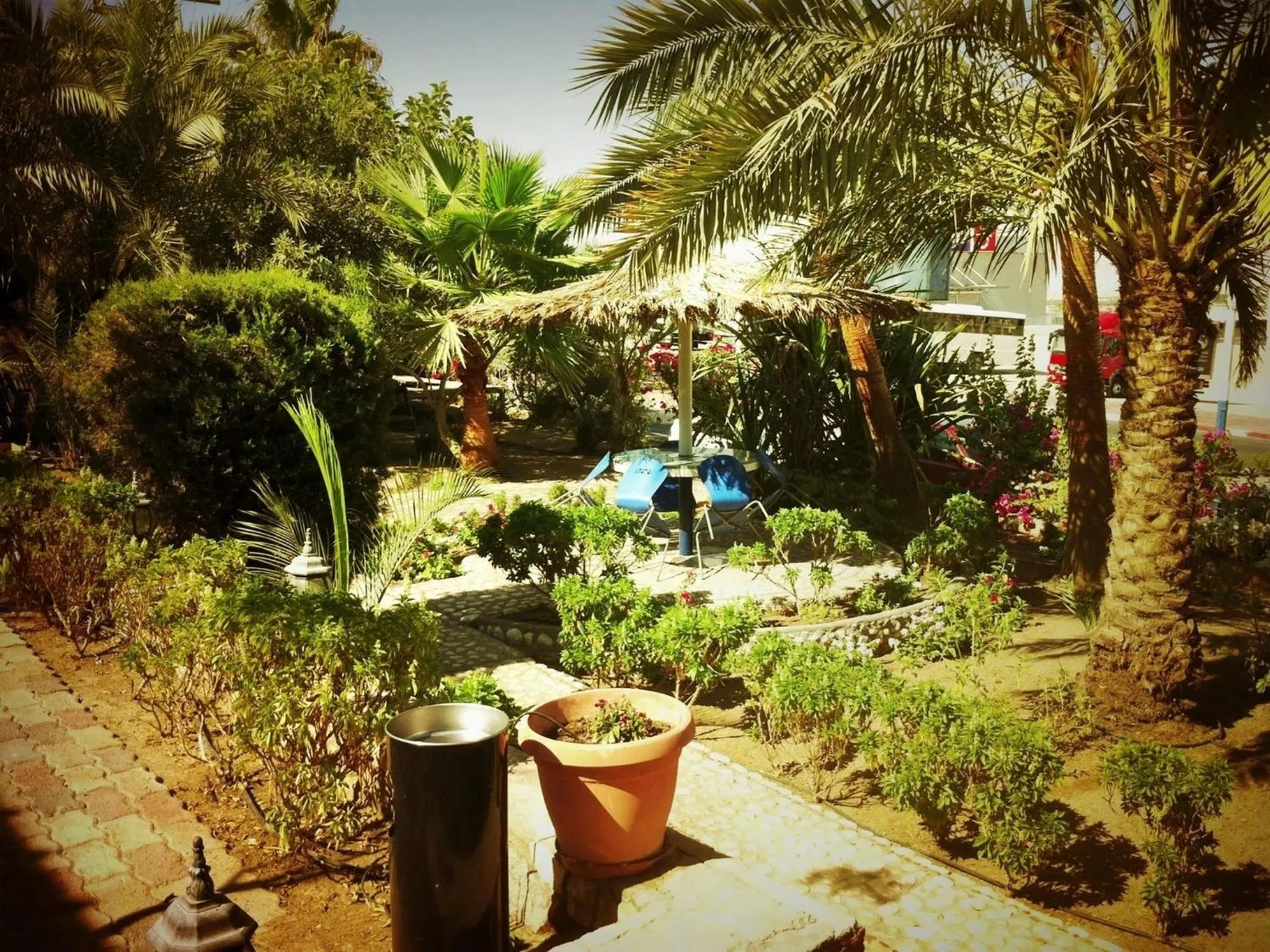 Natural landscape in Arava Hostel