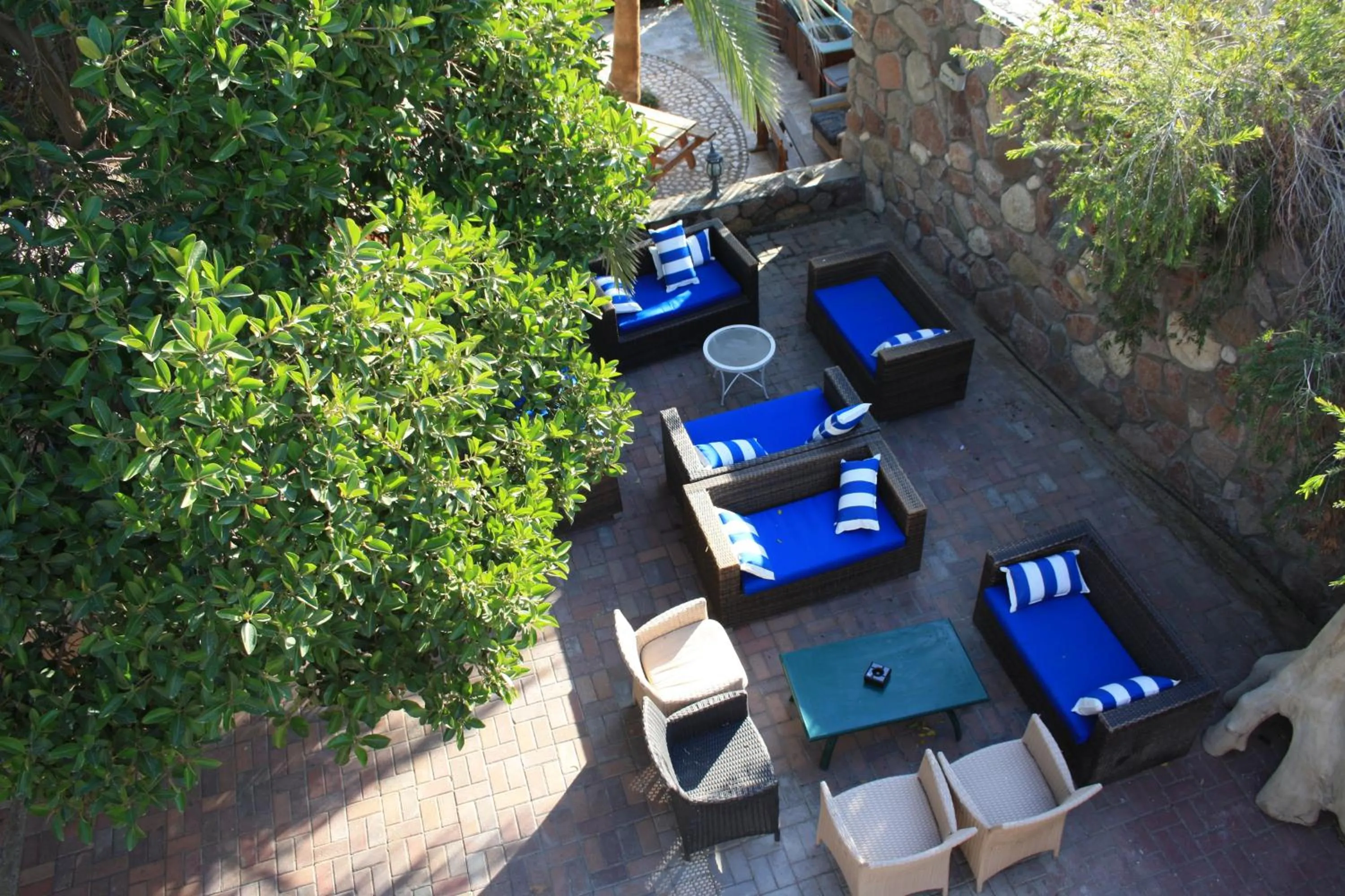 Garden in Arava Hostel