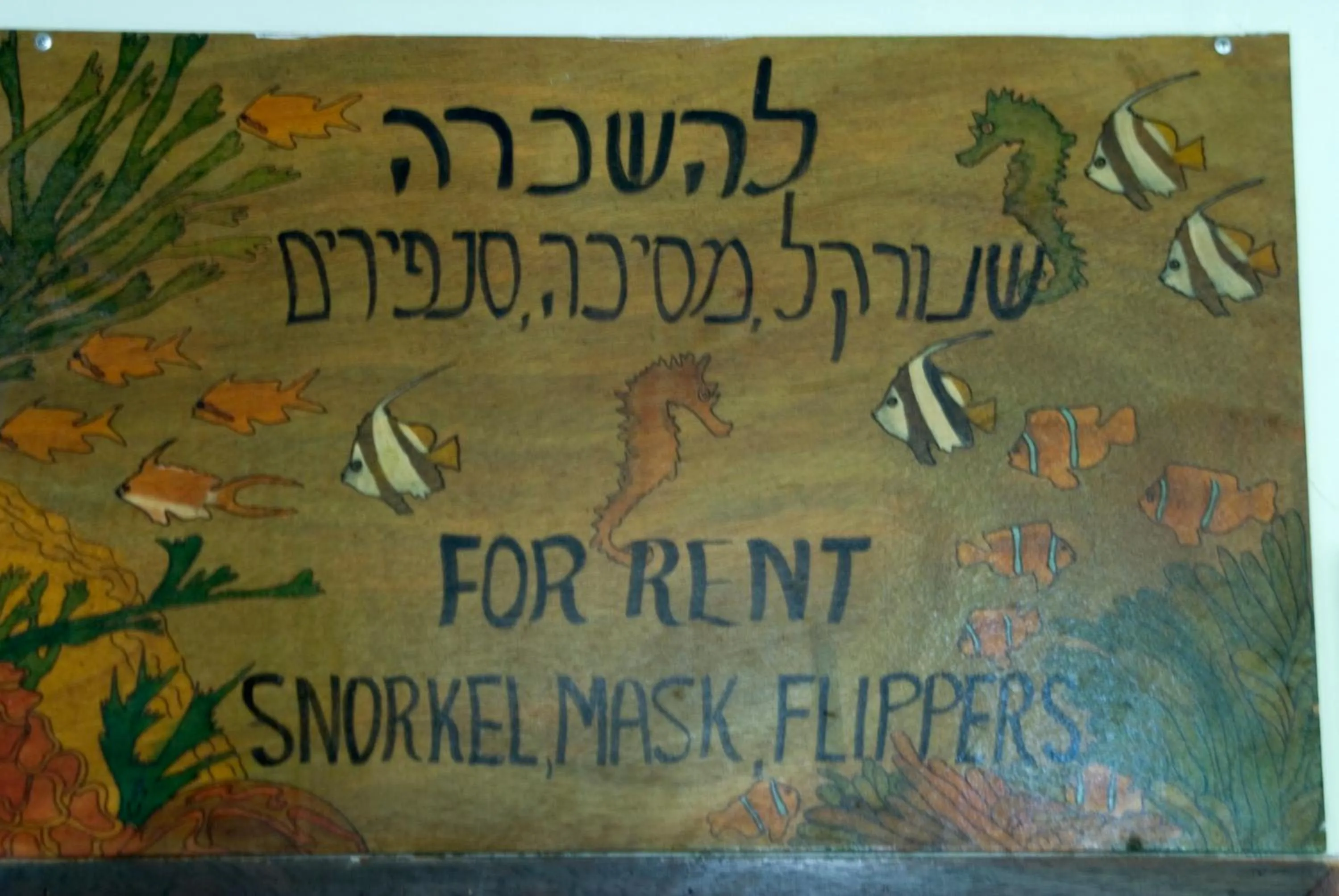 Lobby or reception in Arava Hostel