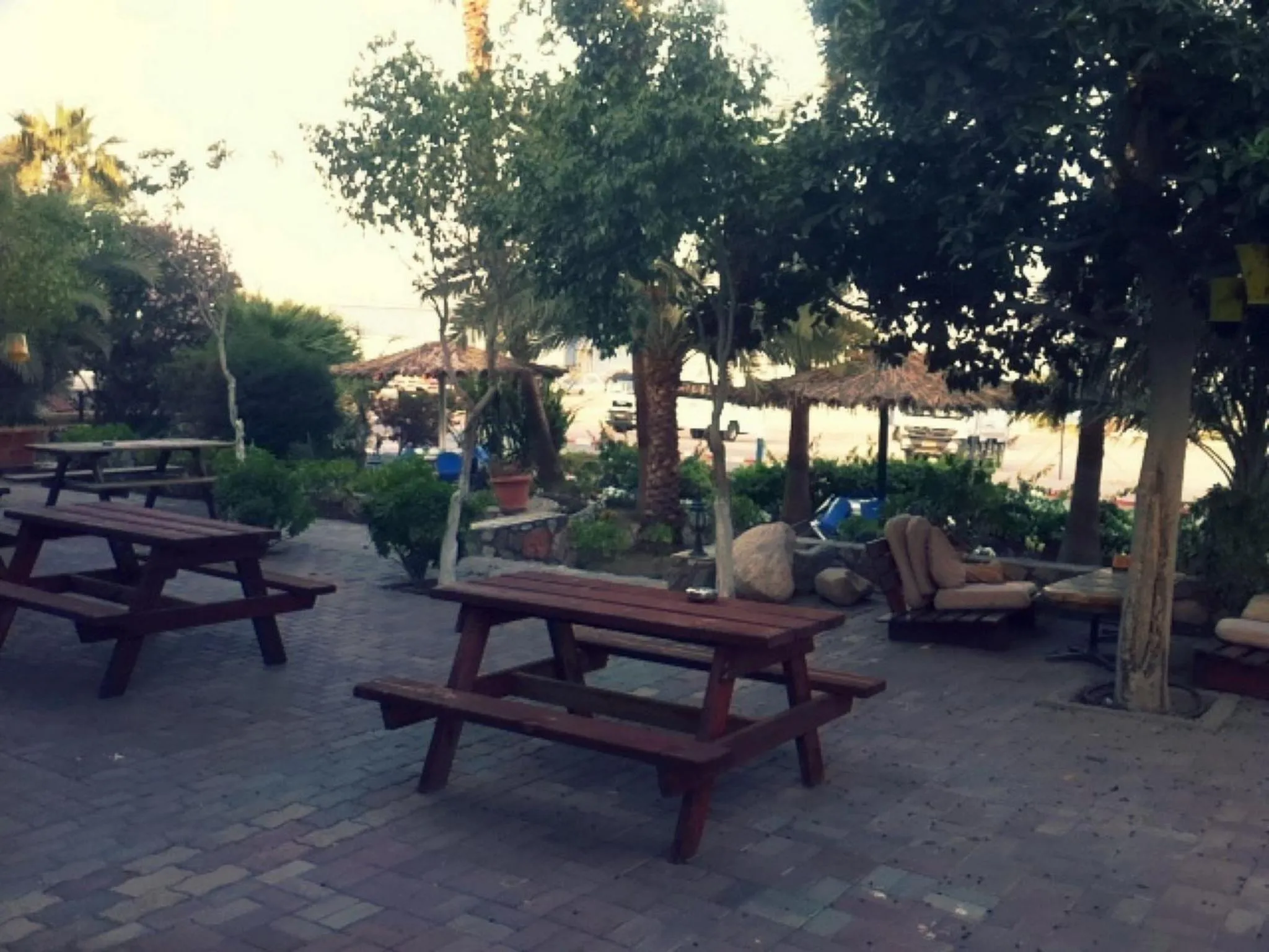 Garden in Arava Hostel
