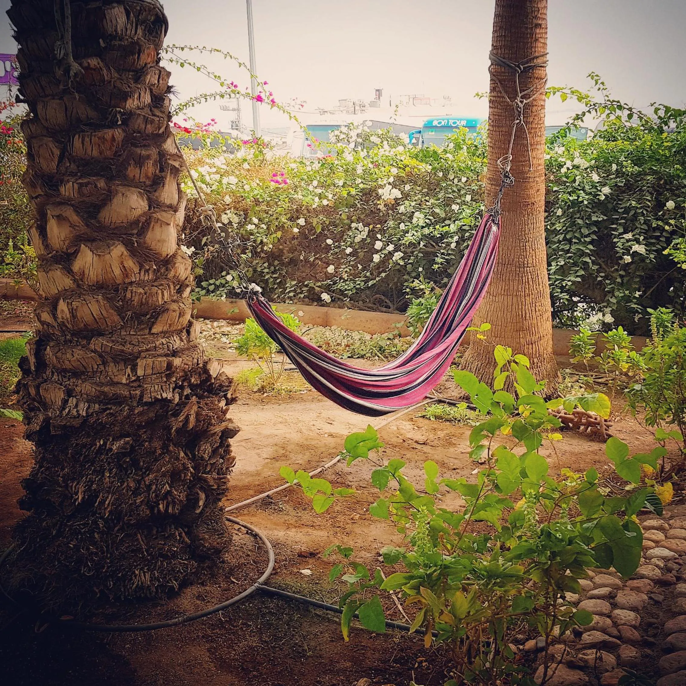 Decorative detail in Arava Hostel