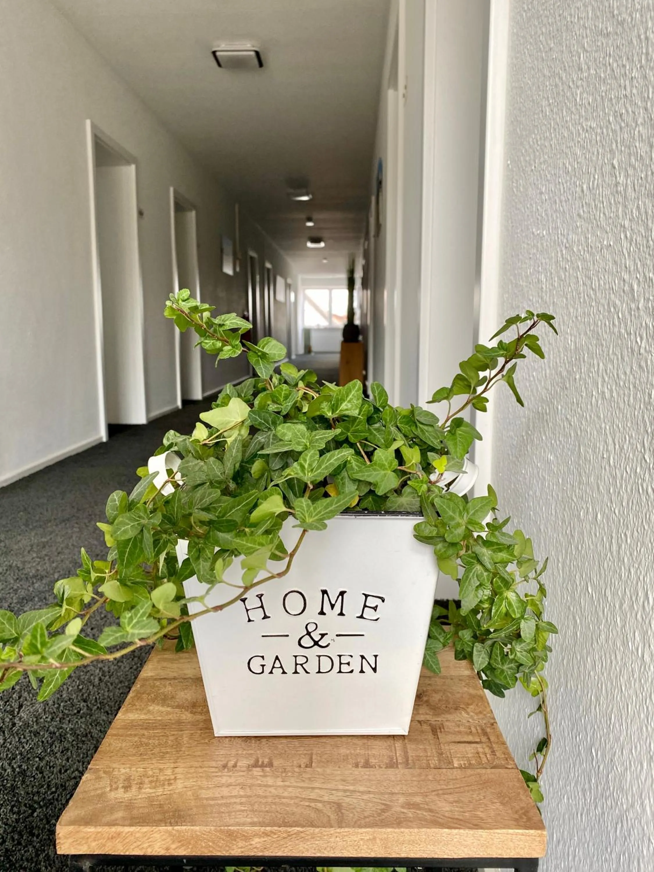 Decorative detail in Hotel zur Sonne