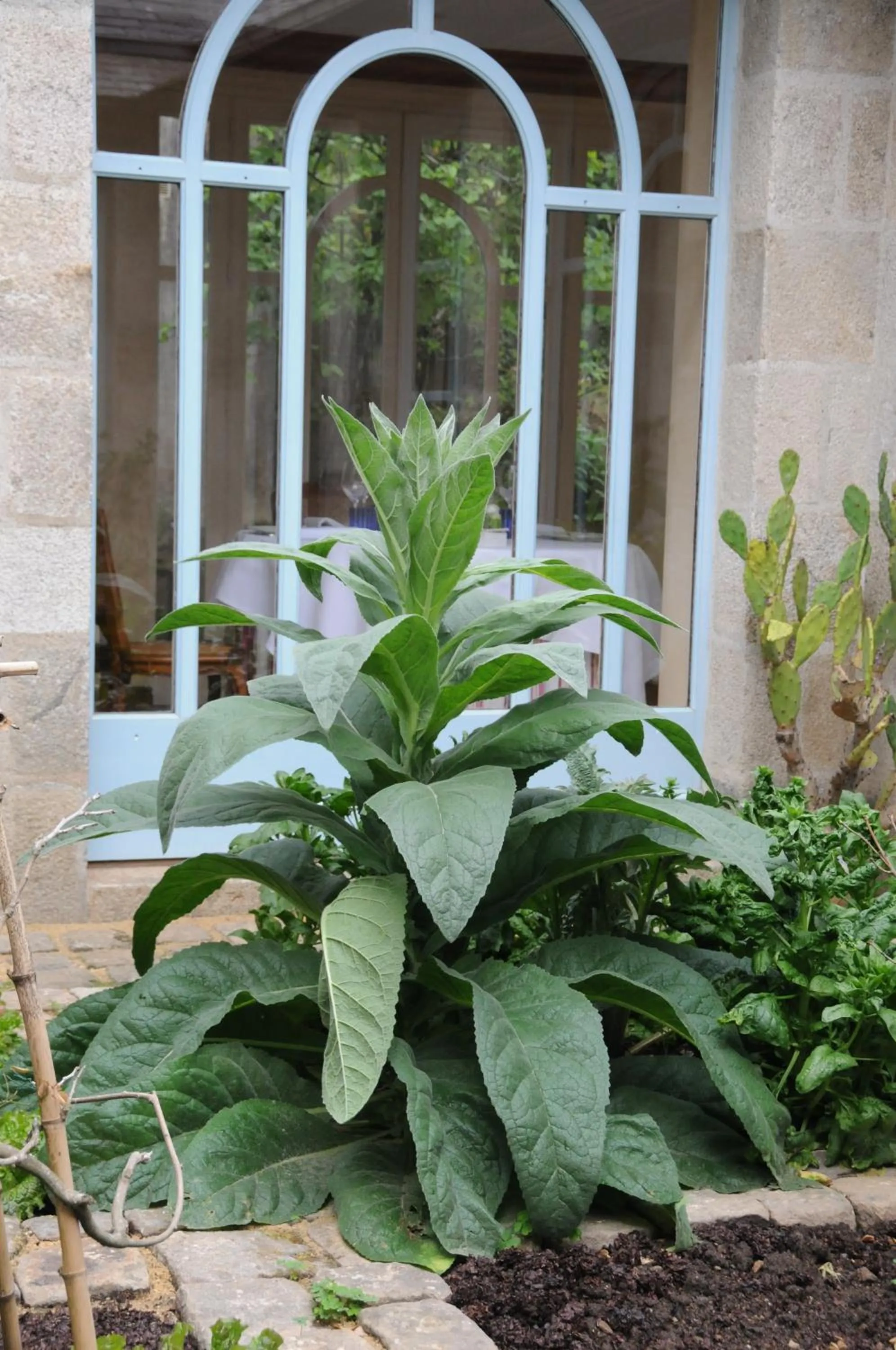 Patio in Auberge Bretonne